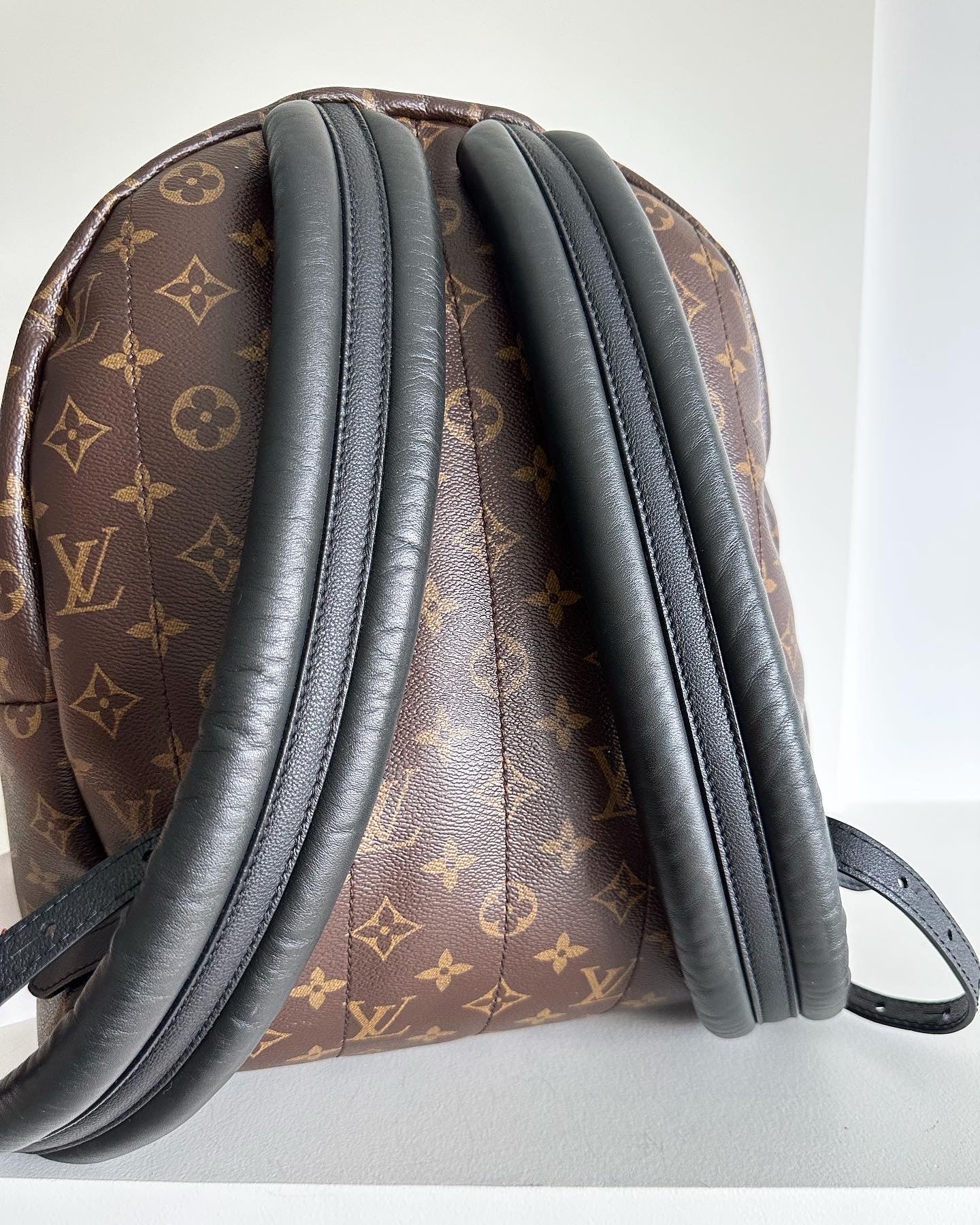 Louis Vuitton Palm Springs MM