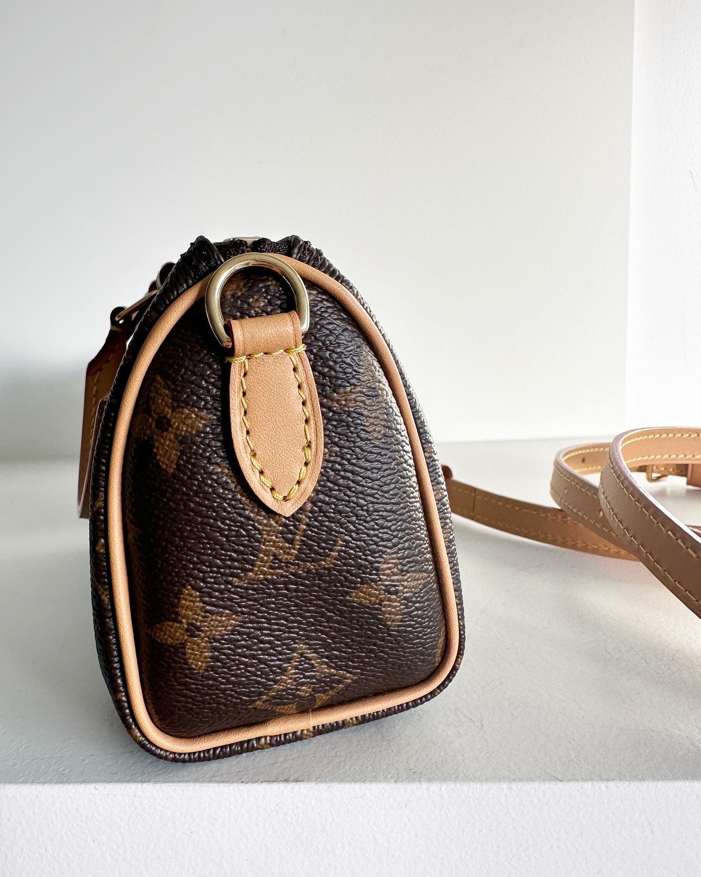 Louis Vuitton nano speedy