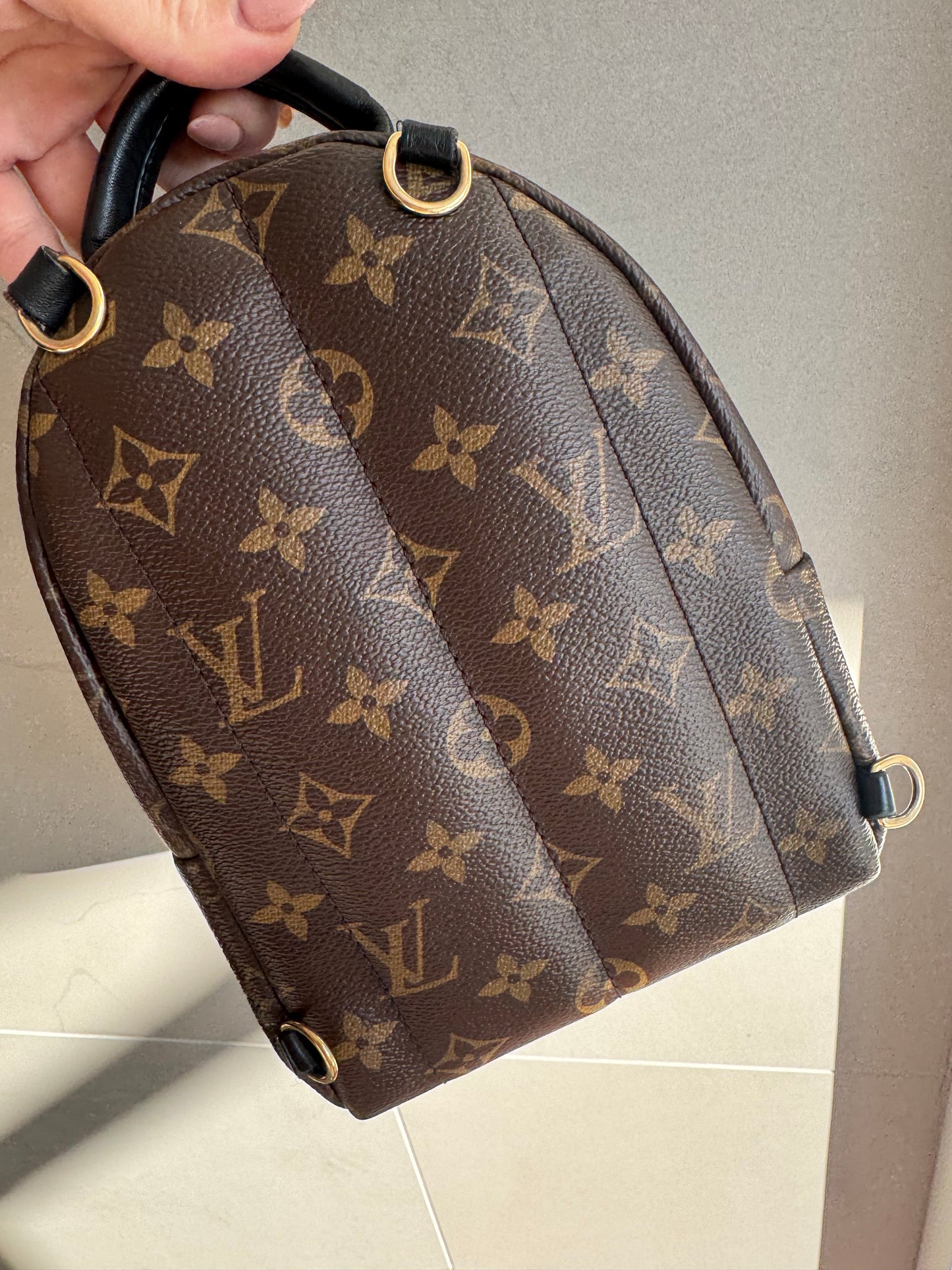Louis Vuitton Palm Springs Mini Backpack