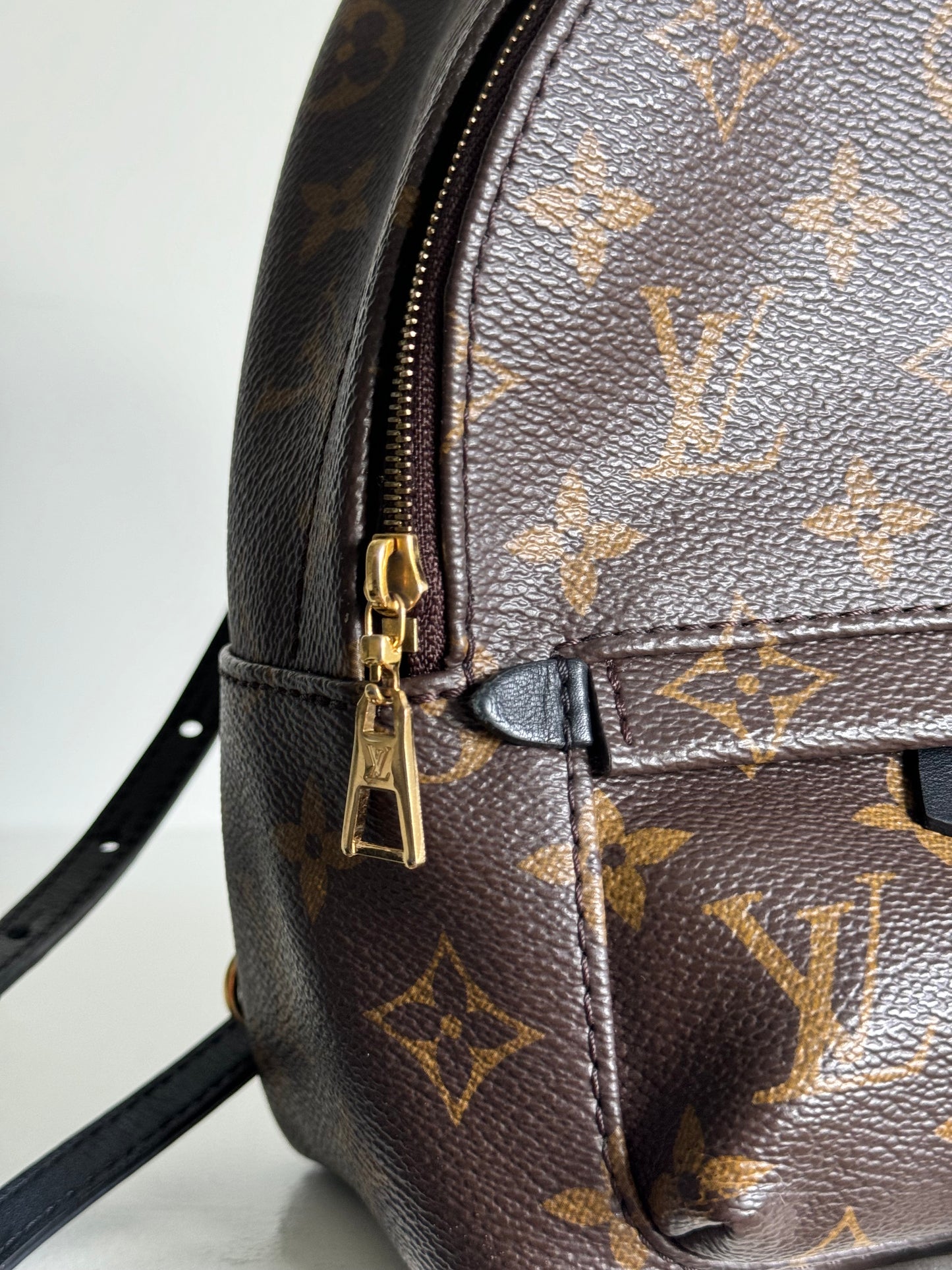 Louis vuitton mini palm springs backpack monogram