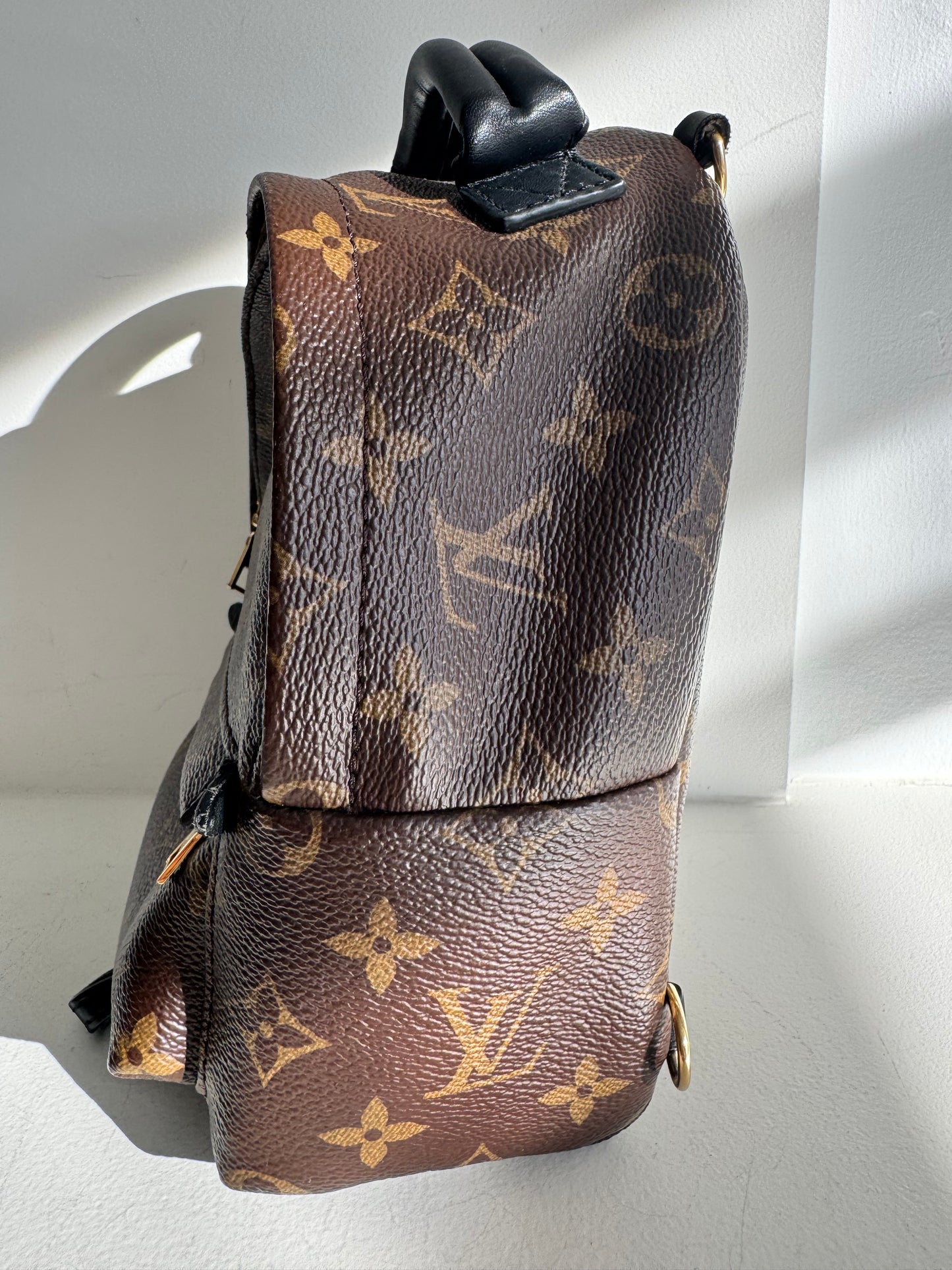 Louis Vuitton Palm Springs Mini Backpack