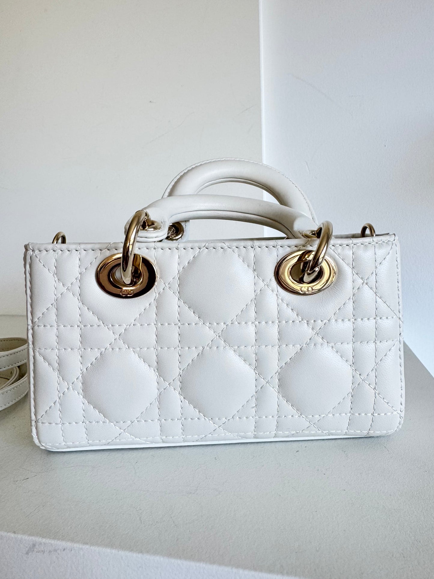 Christian Dior Lady D-Joy Micro Bag