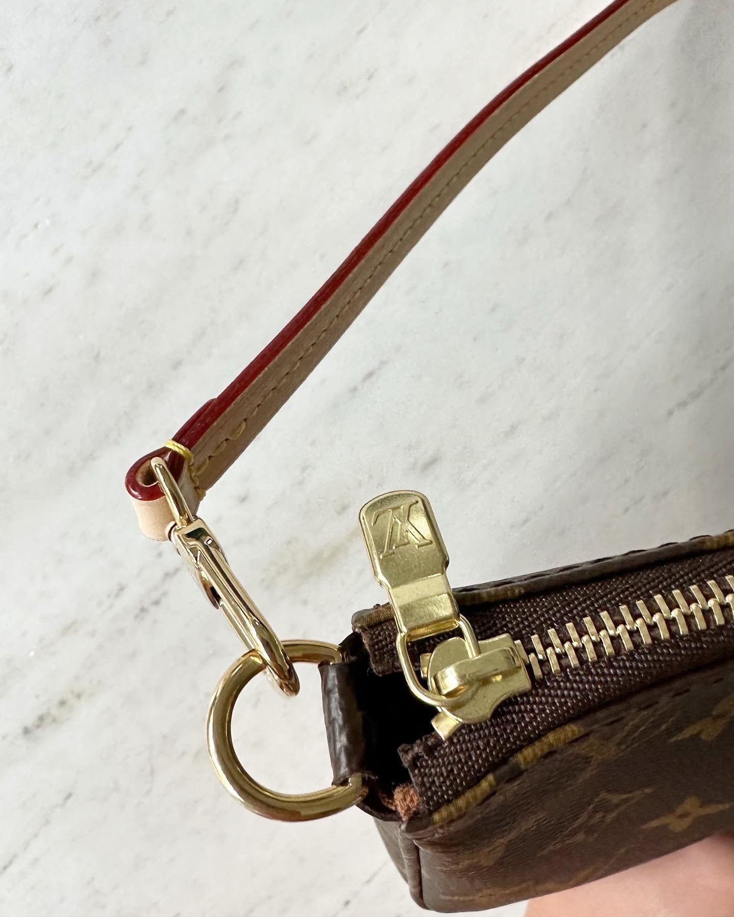 Louis Vuitton Pochette accessories bag