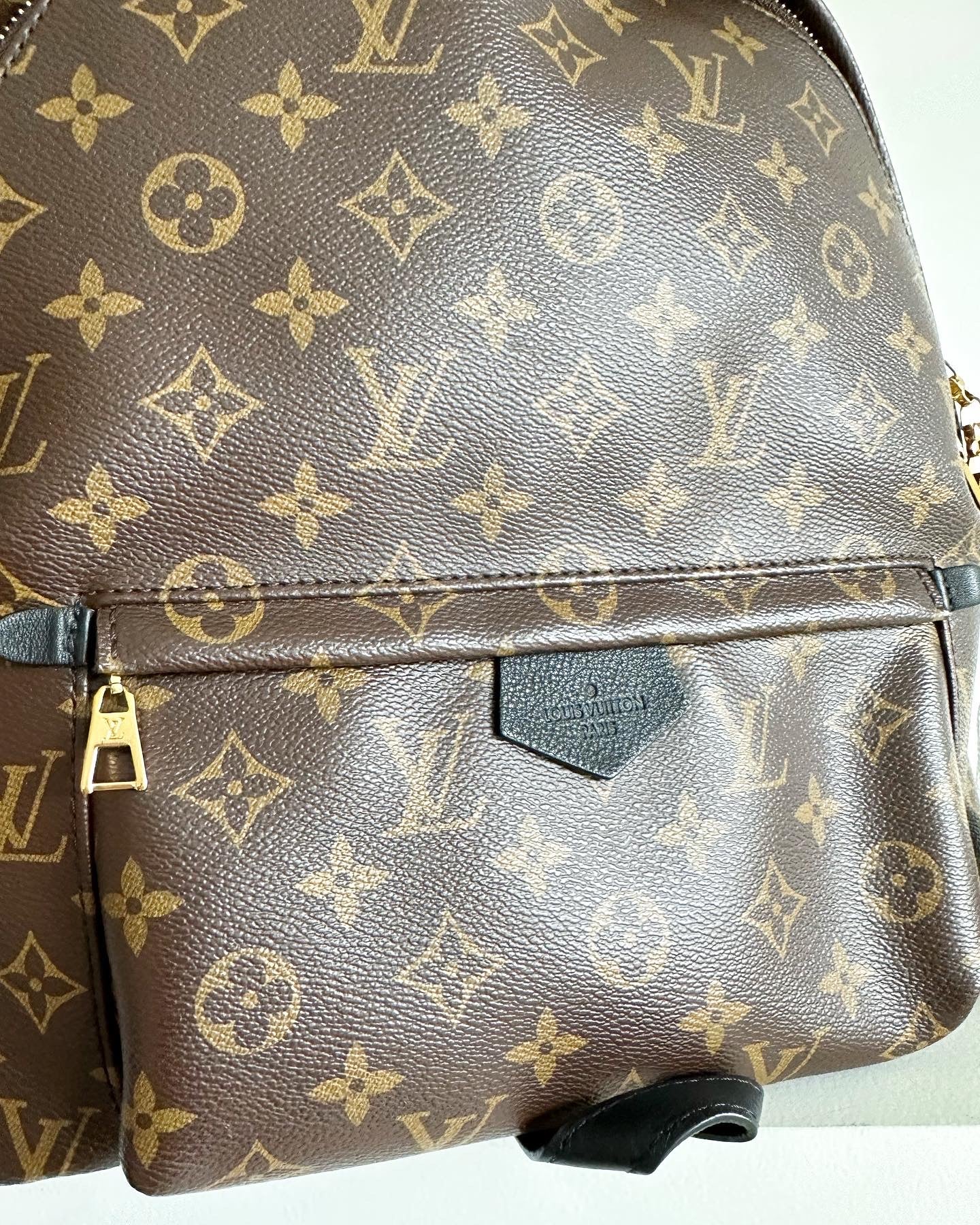 Louis Vuitton Palm Springs MM