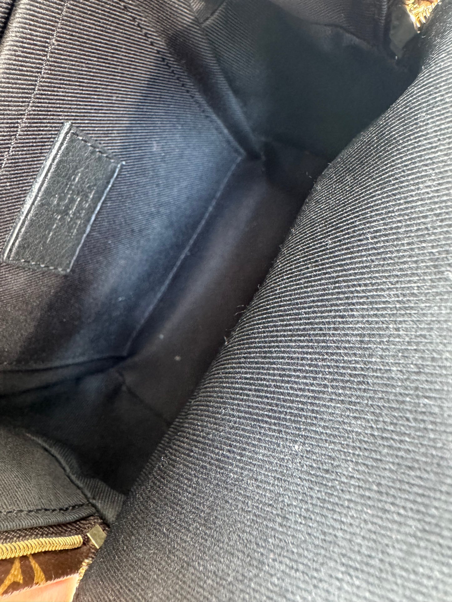 Louis Vuitton Palm Springs Mini Backpack