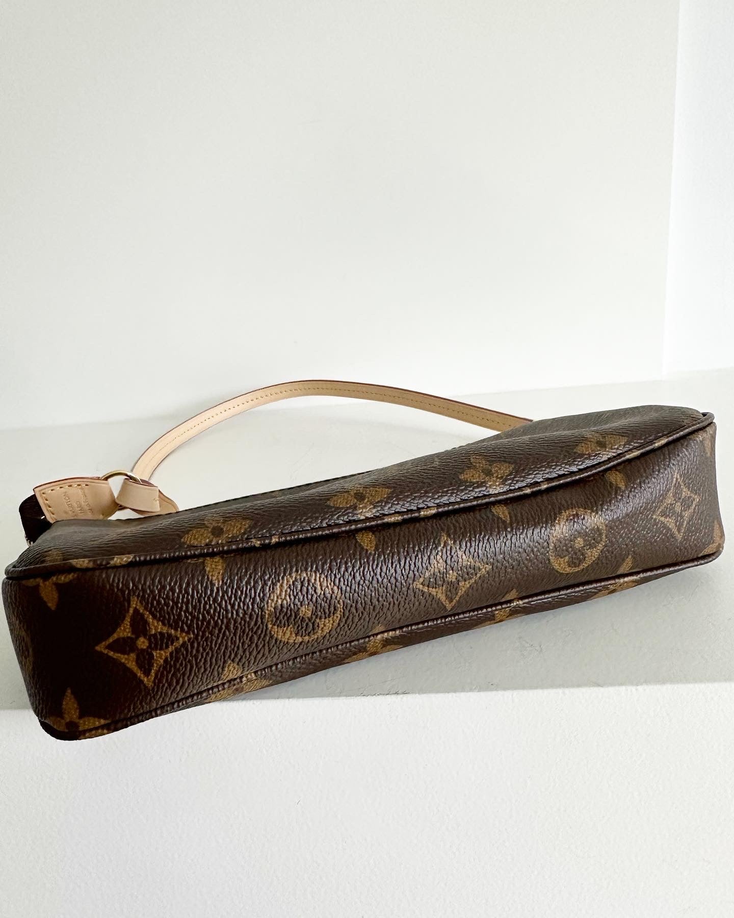 Louis Vuitton Pochette accessories bag