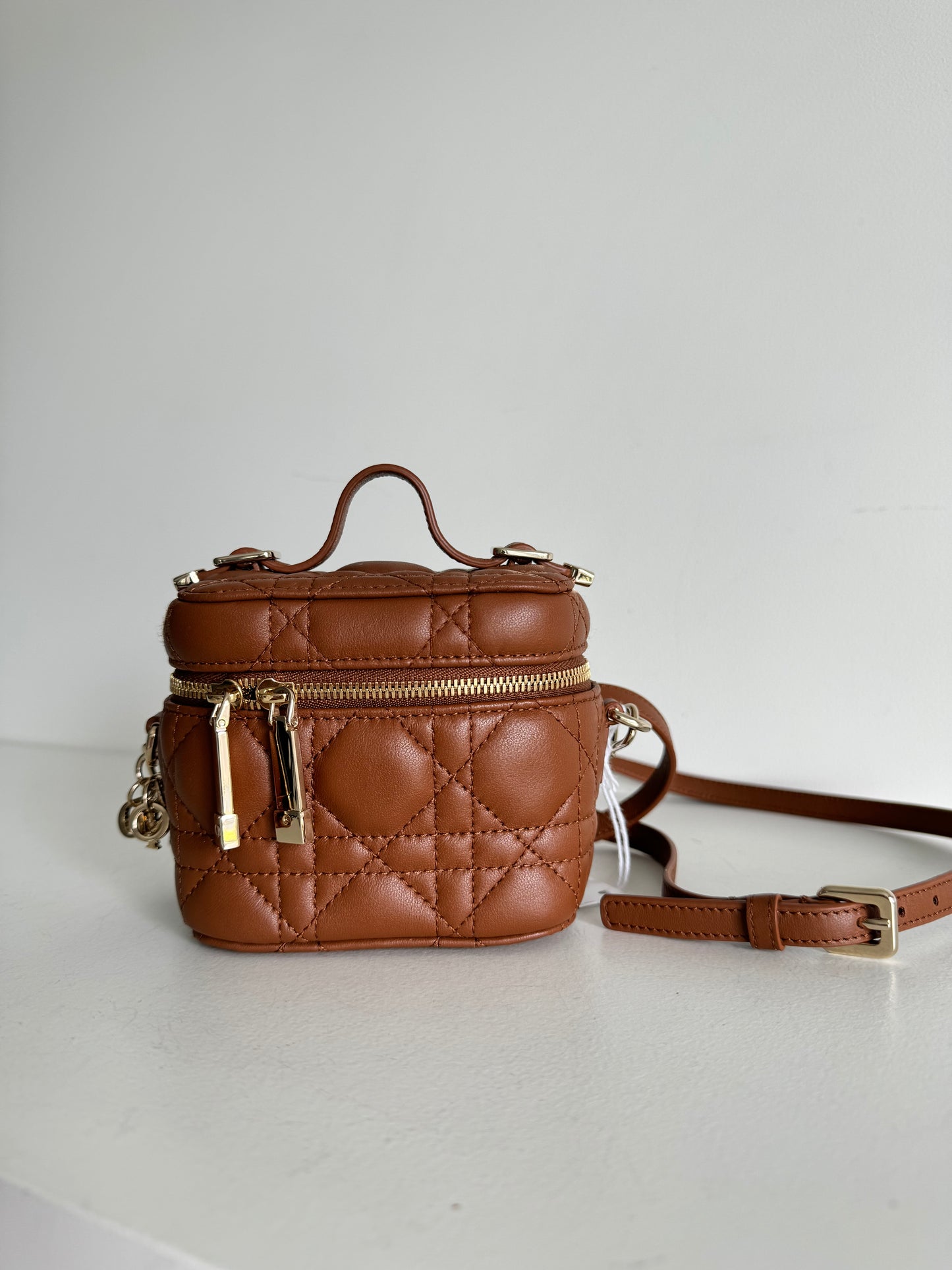 Christian Dior Micro Vanity Golden Sadd