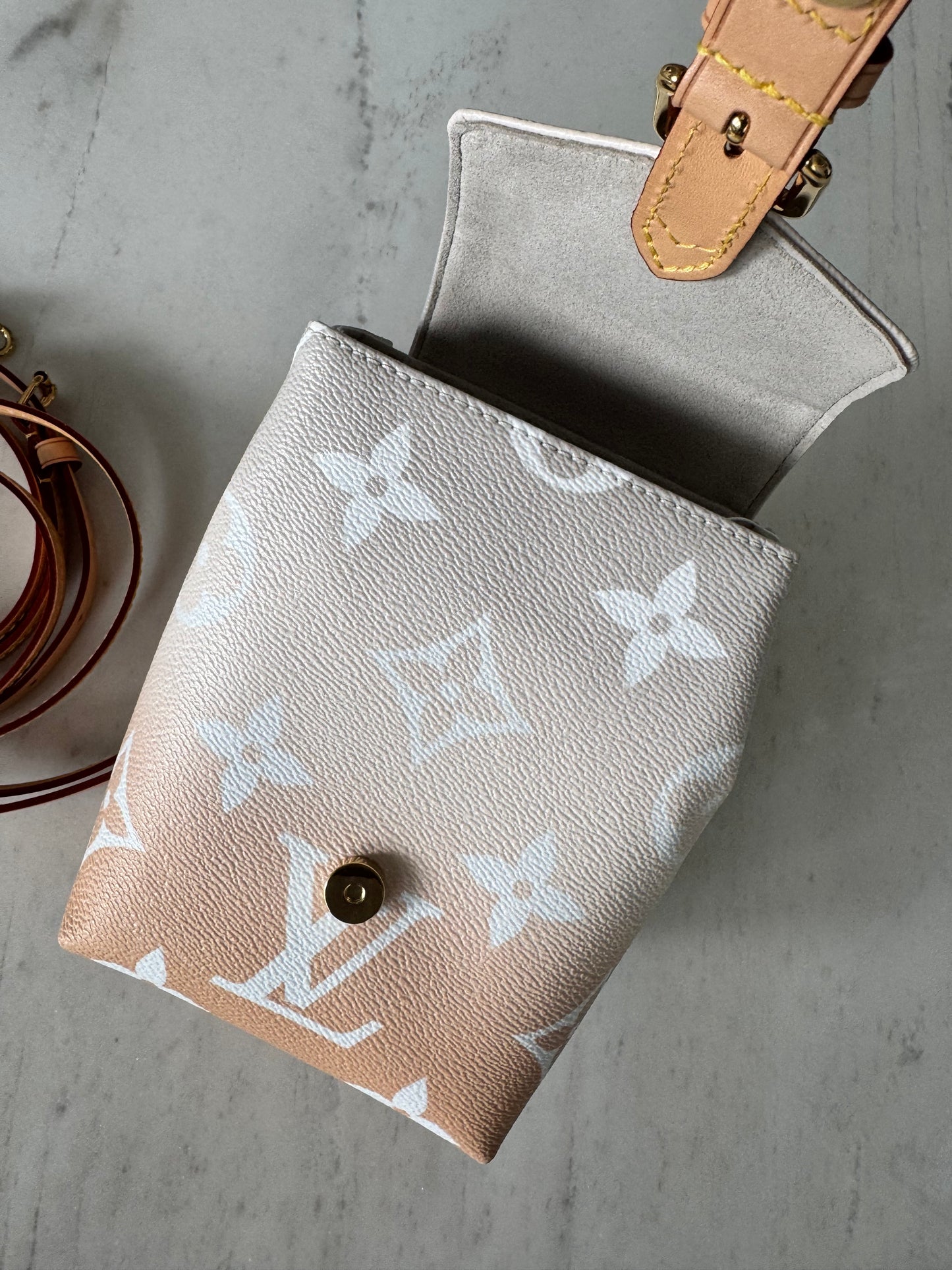 Louis Vuitton Monogram Giant By The Pool Backpack Brume
