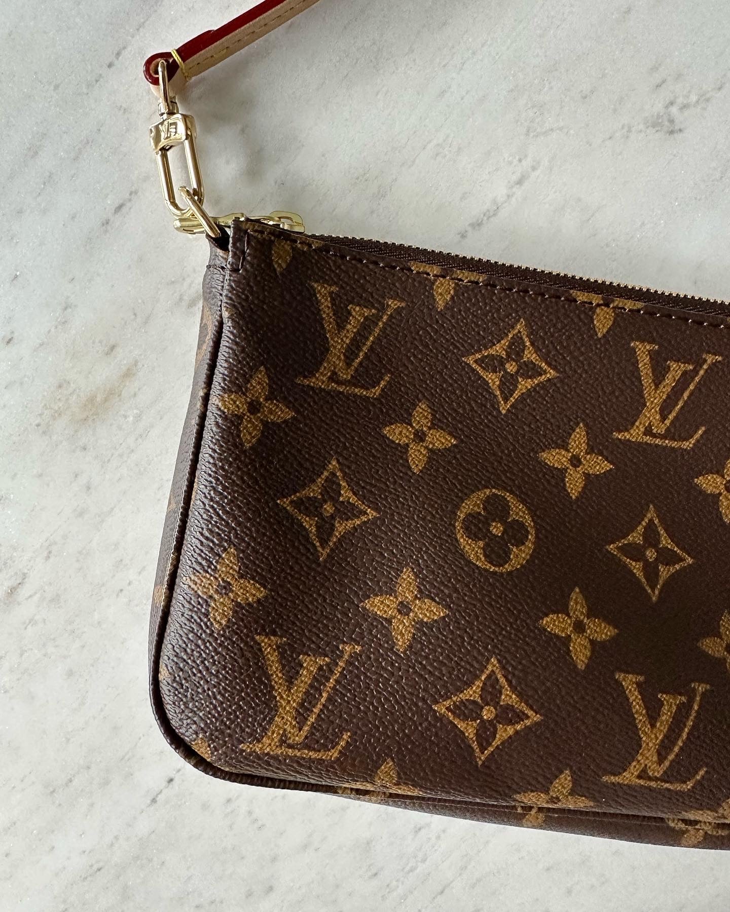 Louis Vuitton Pochette accessories bag