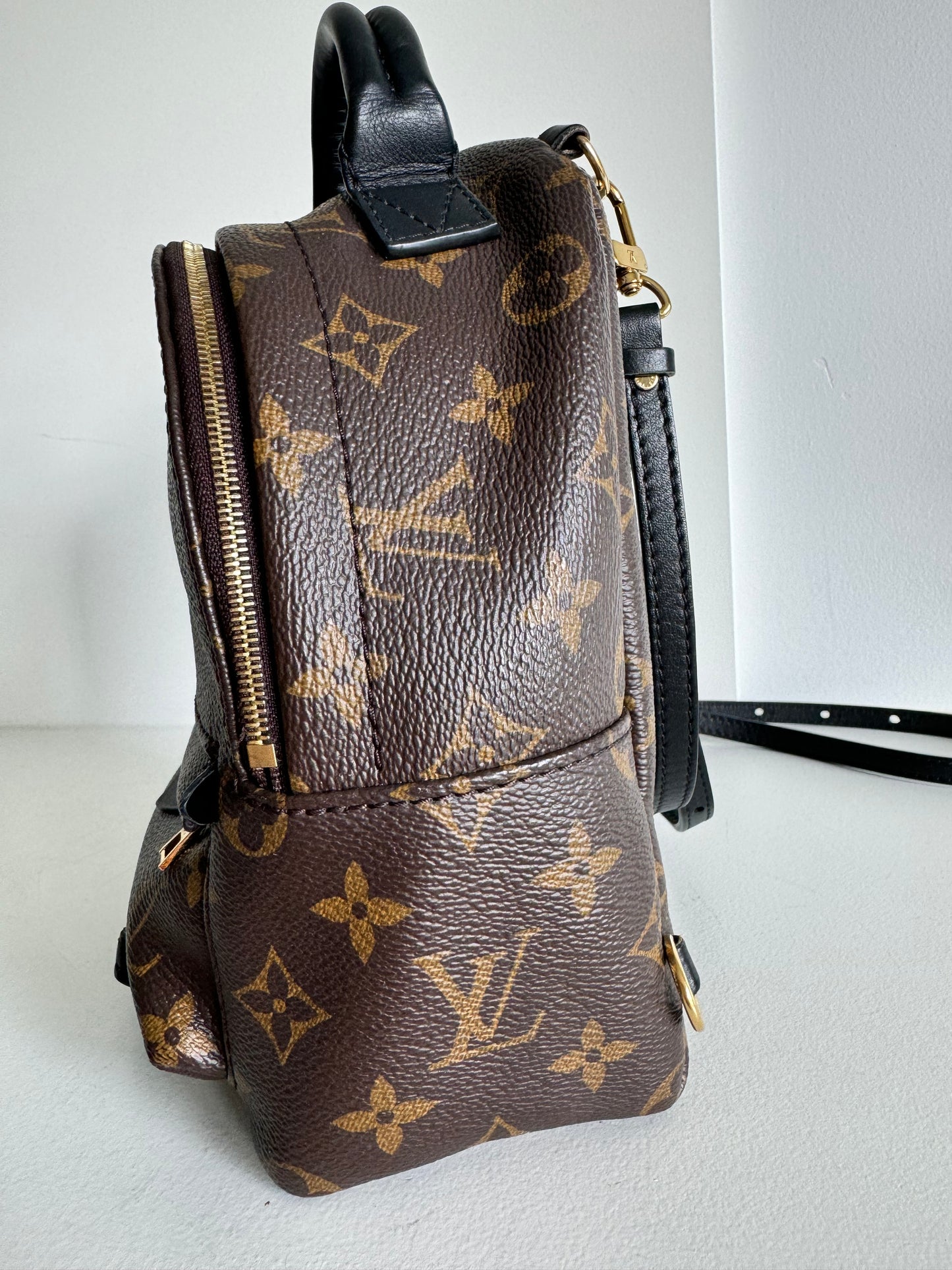 Louis vuitton mini palm springs backpack monogram