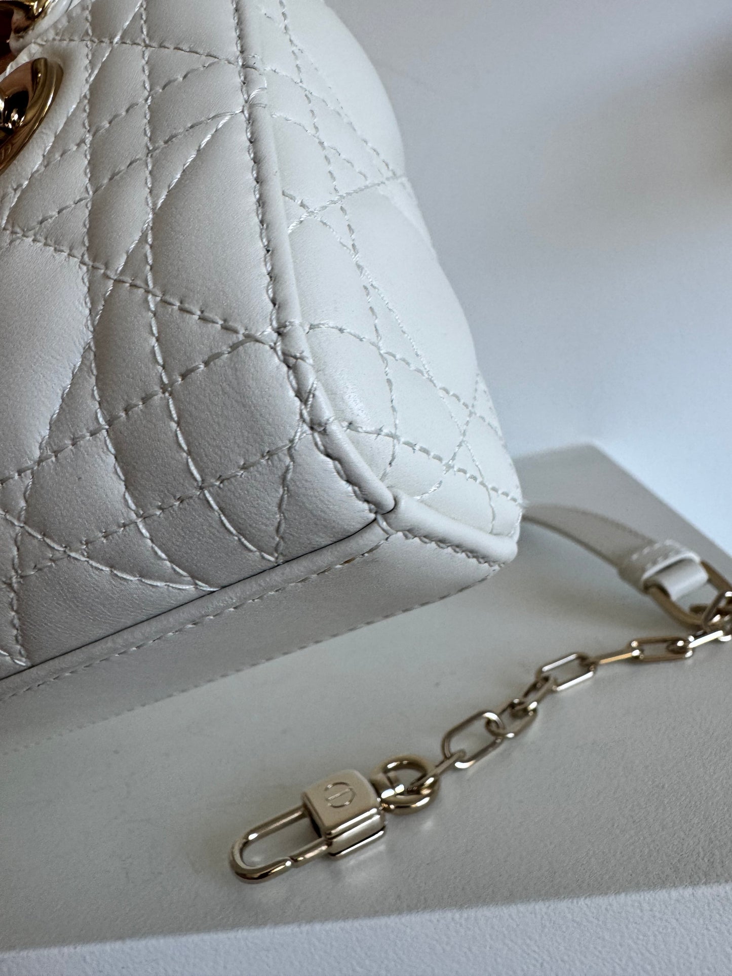 Christian Dior Lady D-Joy Micro Bag