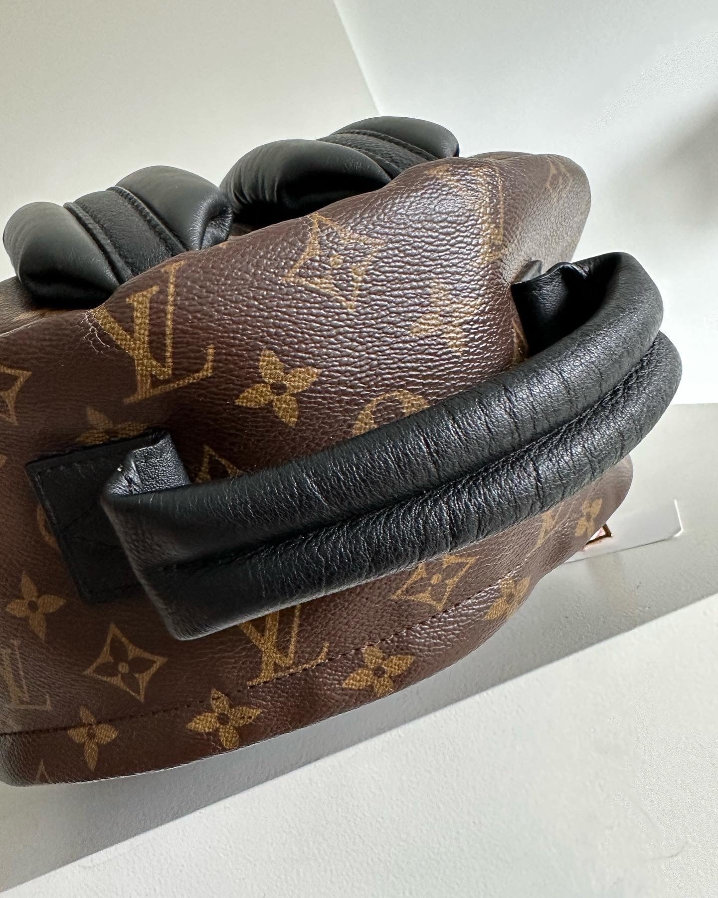 Louis Vuitton Palm Springs MM
