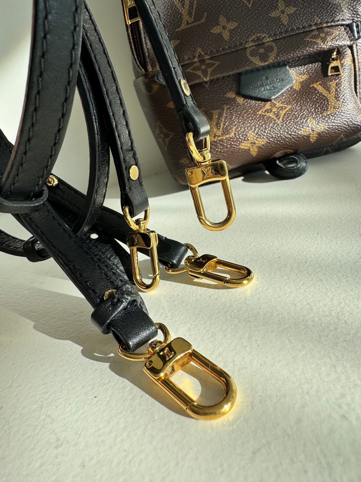 Louis Vuitton Palm Springs Mini Backpack