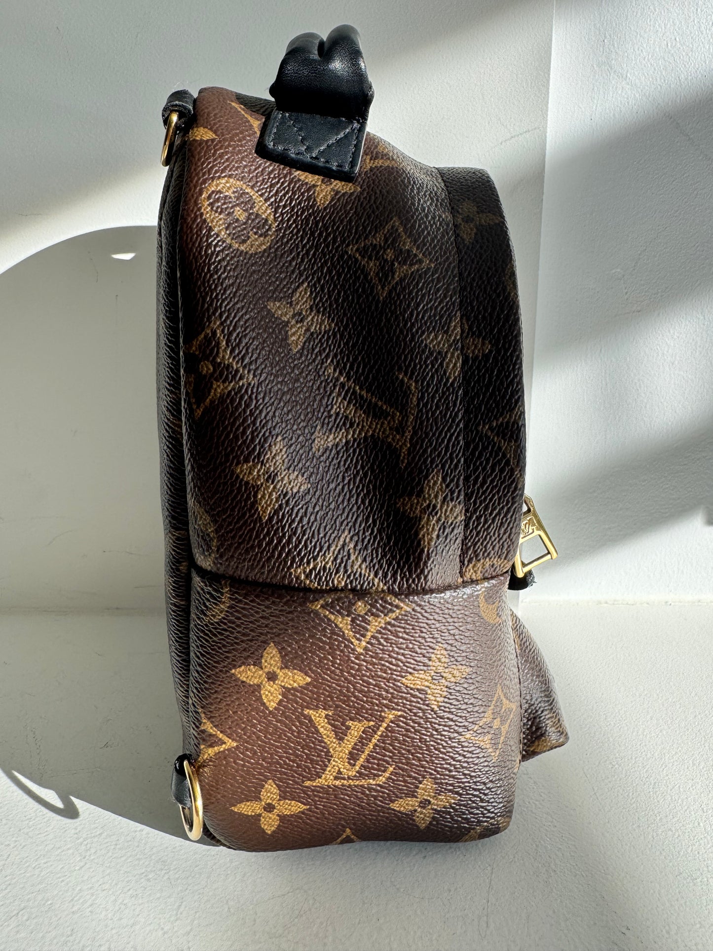 Louis Vuitton Palm Springs Mini Backpack