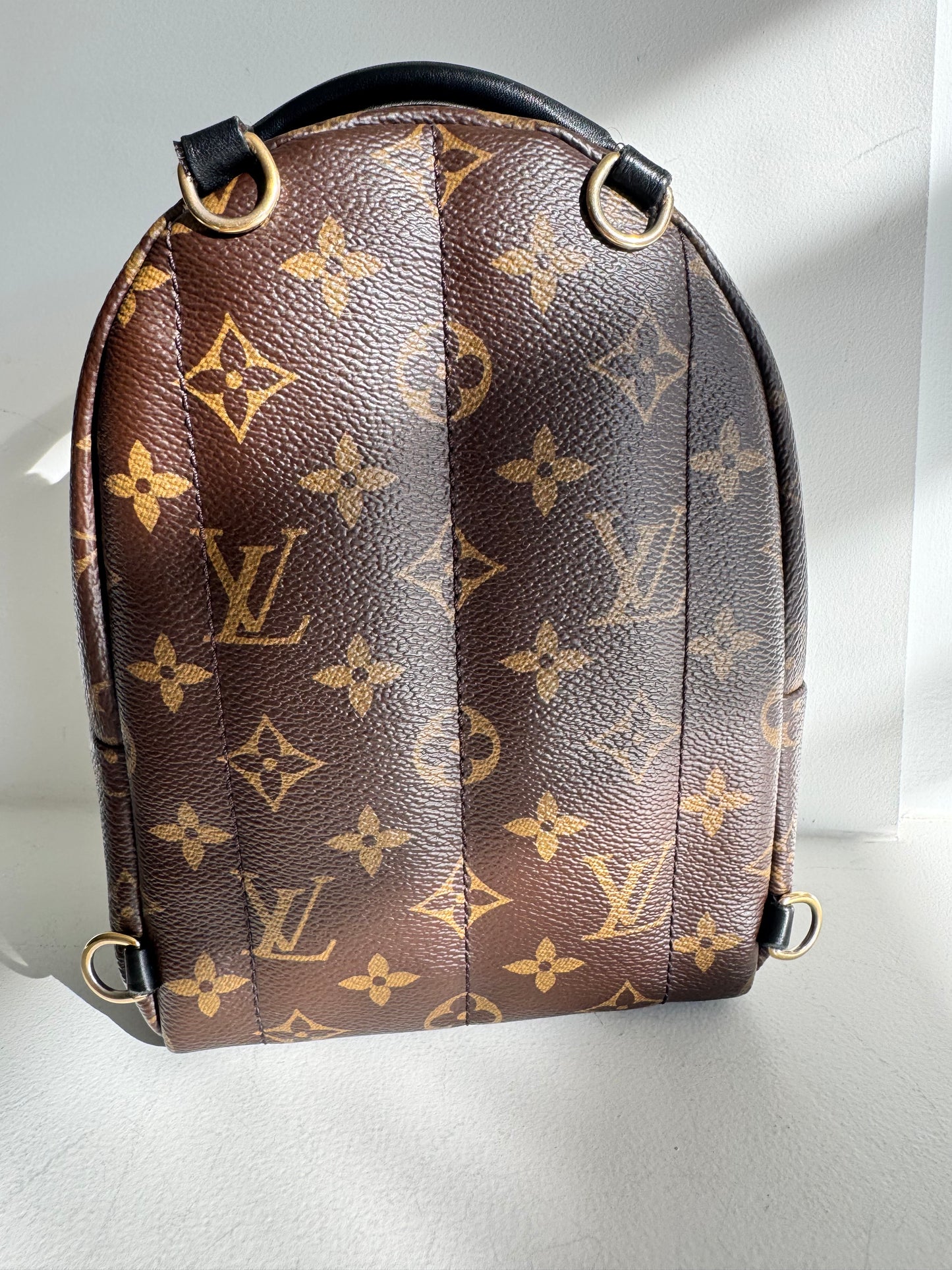 Louis Vuitton Palm Springs Mini Backpack