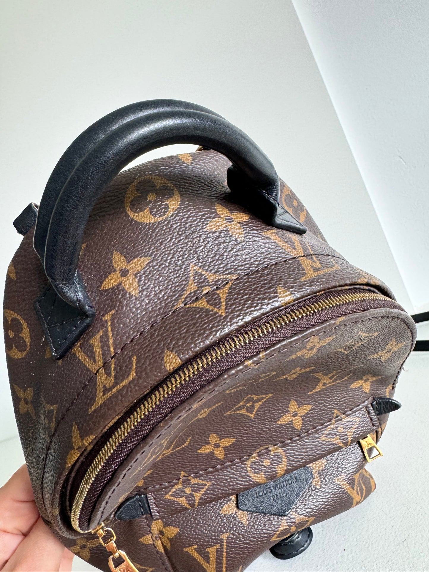 Louis vuitton mini palm springs backpack monogram