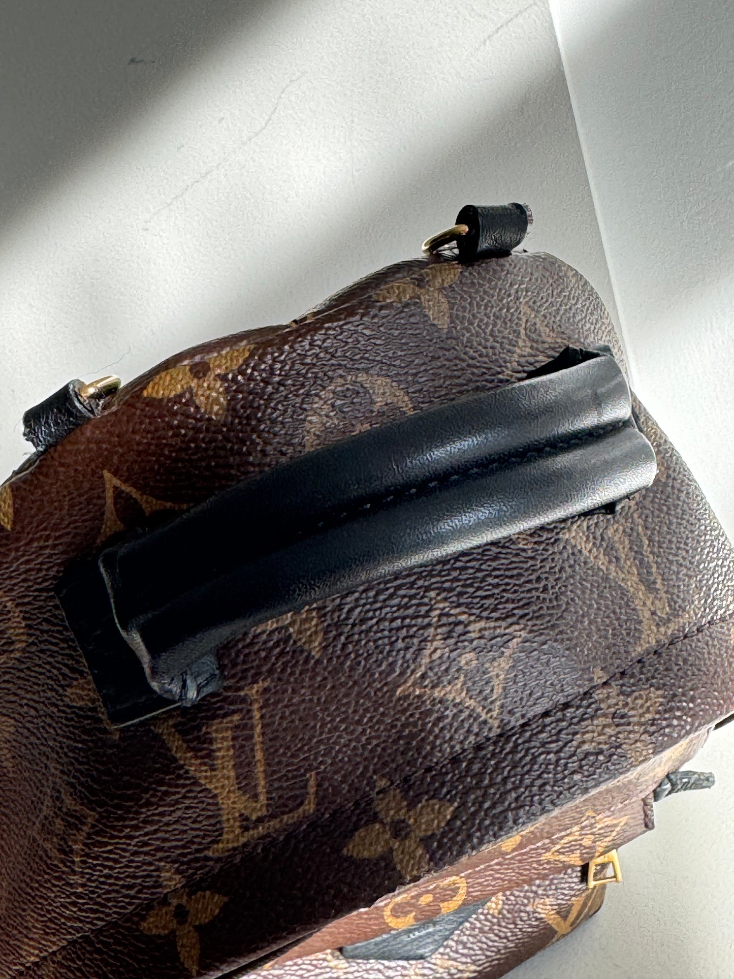 Louis Vuitton Palm Springs Mini Backpack