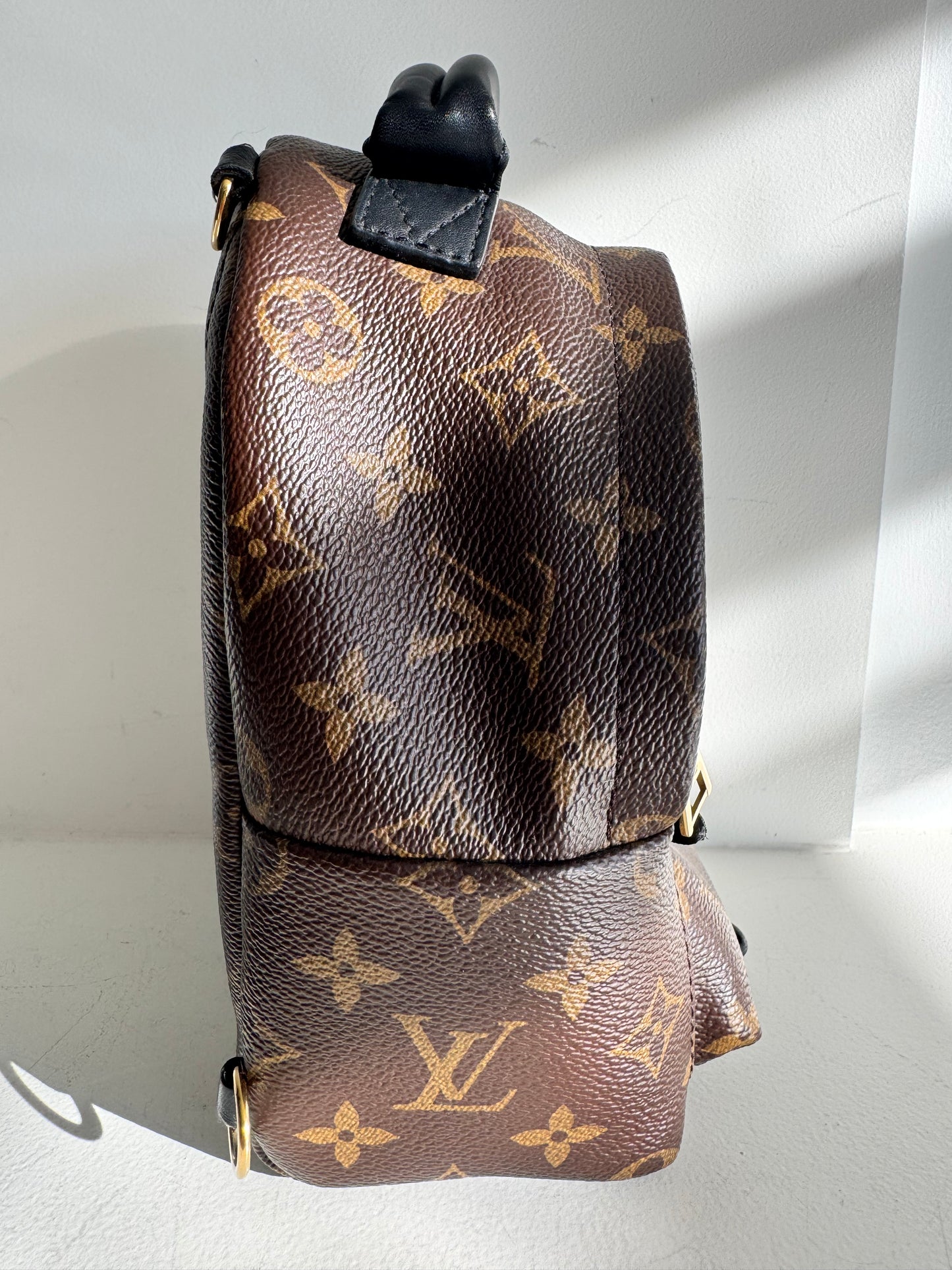 Louis Vuitton Palm Springs Mini Backpack