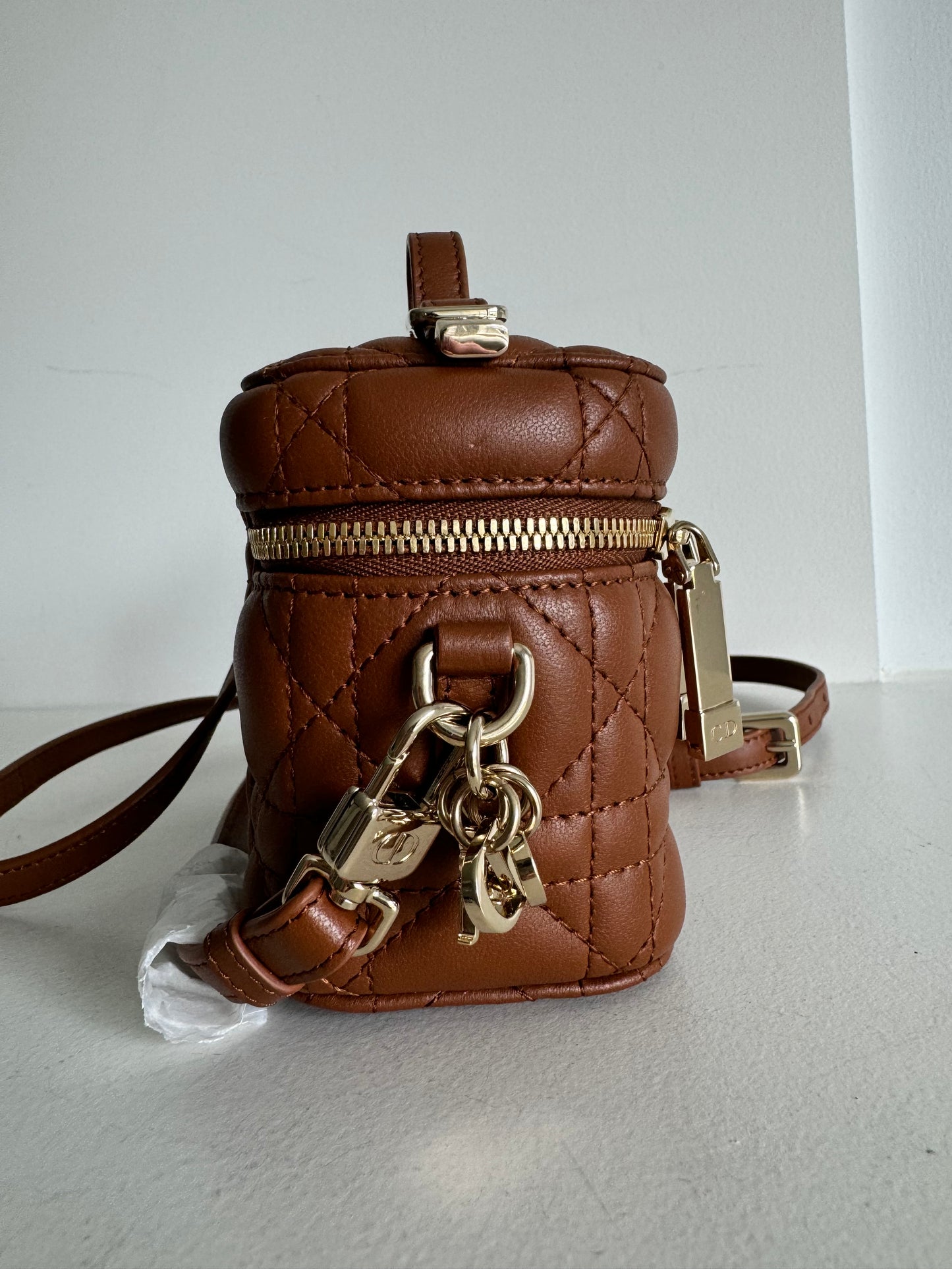 Christian Dior Micro Vanity Golden Sadd