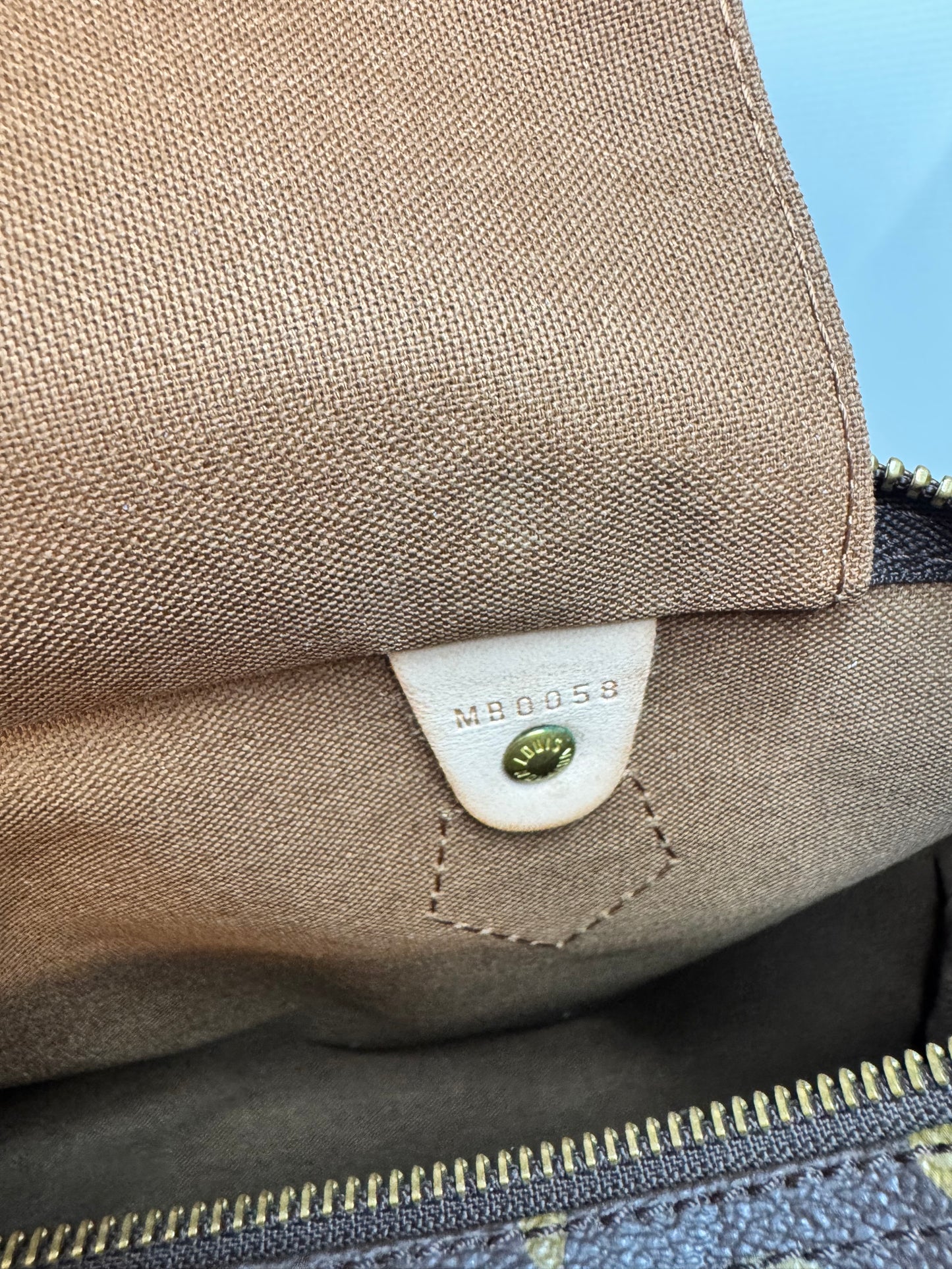 Louis Vuitton Speedy 30 monogram