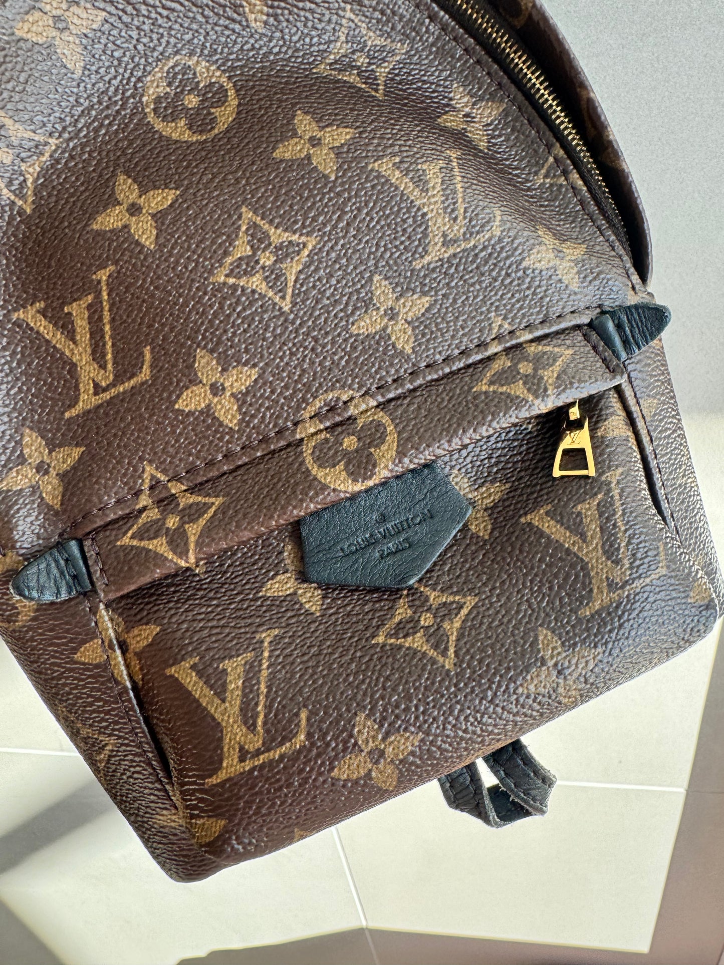 Louis Vuitton Palm Springs Mini Backpack