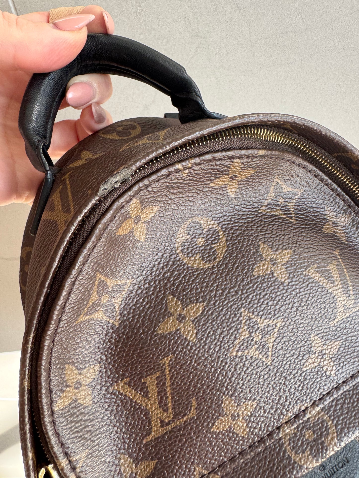 Louis Vuitton Palm Springs Mini Backpack