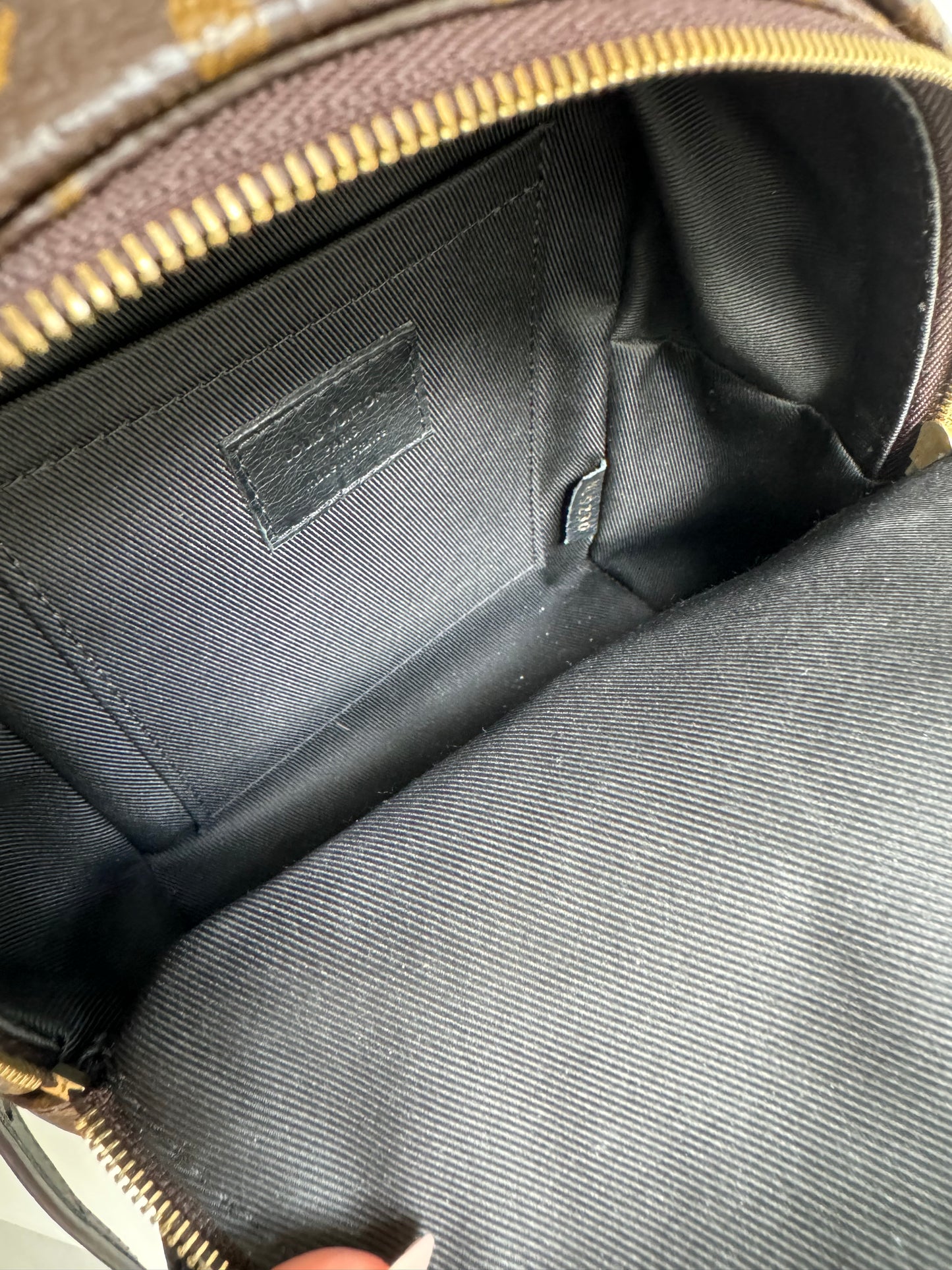 Louis vuitton mini palm springs backpack monogram