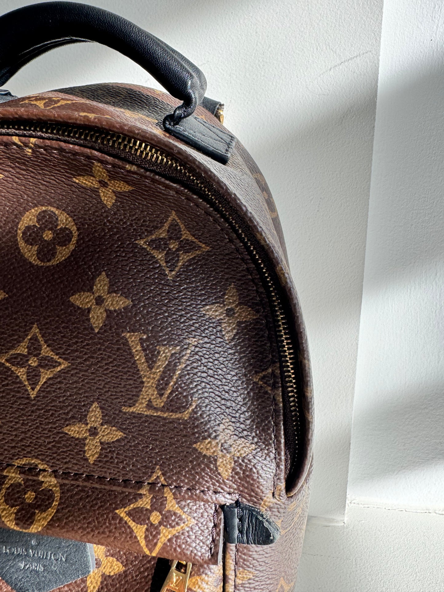 Louis Vuitton Palm Springs Mini Backpack