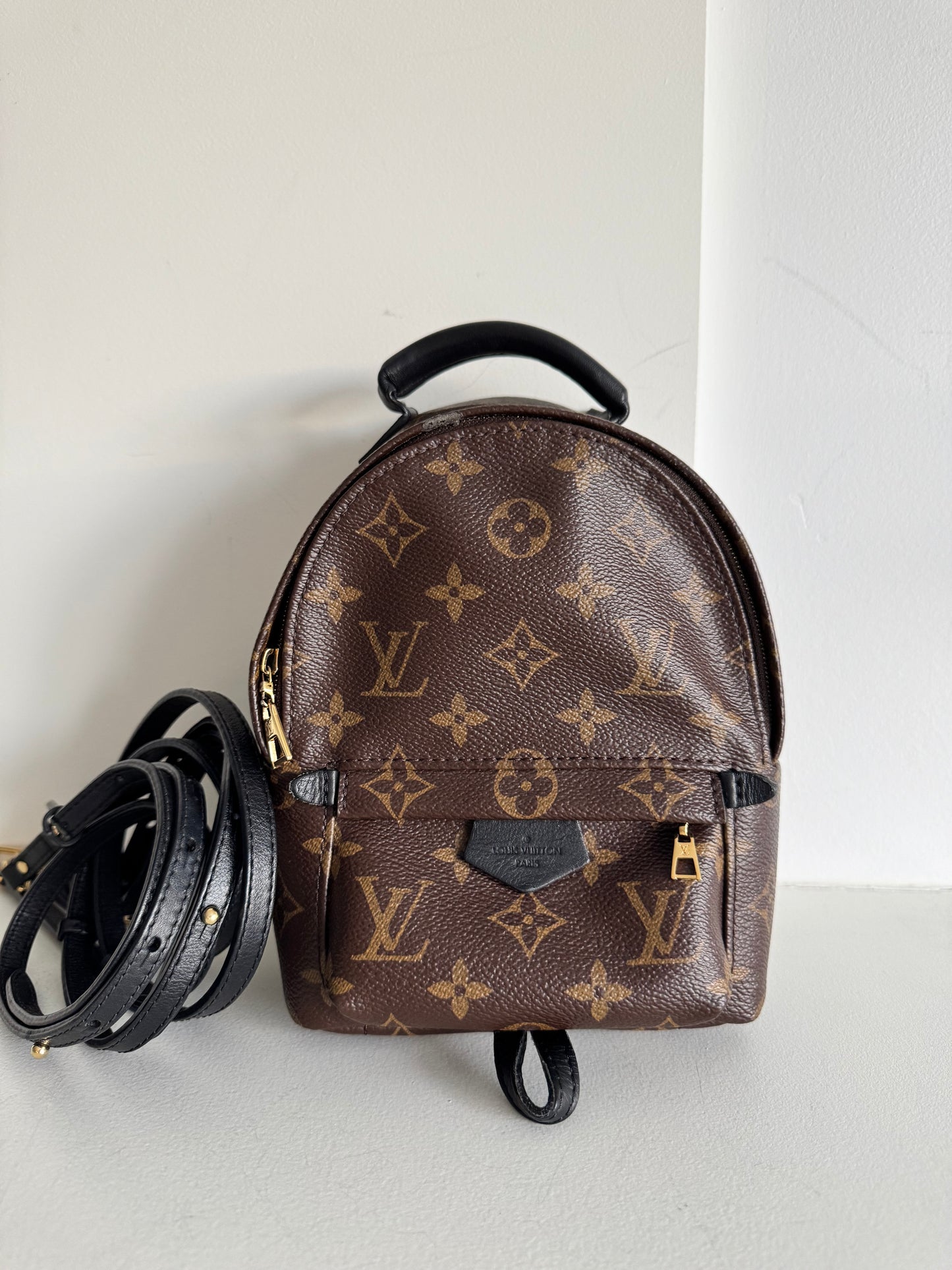 Louis Vuitton Palm Springs Mini Backpack