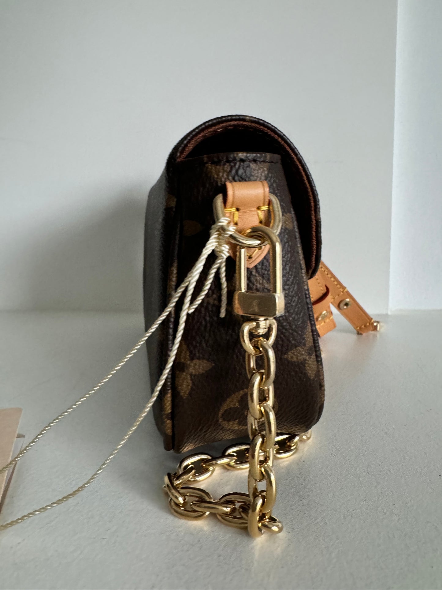 Louis Vuitton Ivy monogram bag