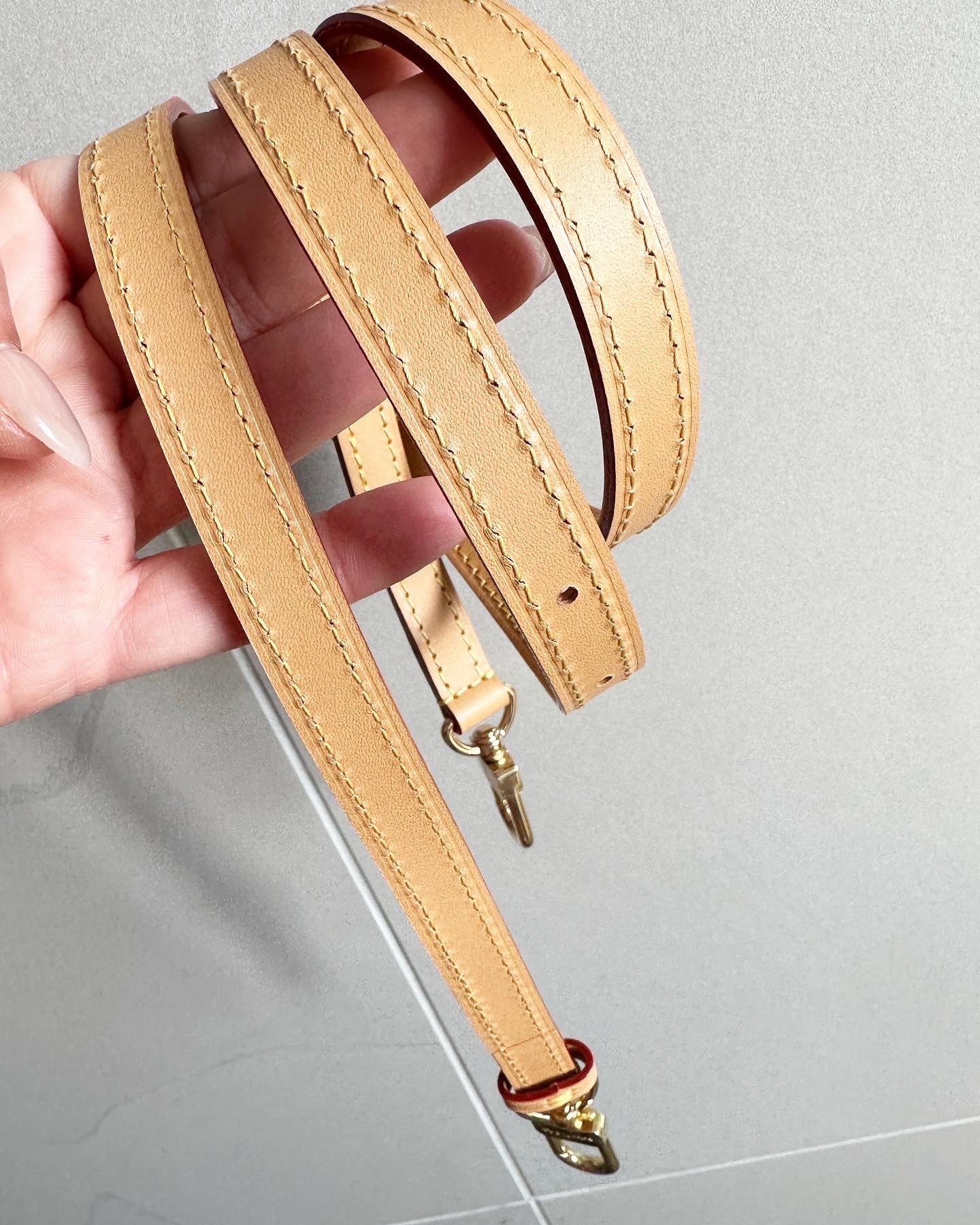 Louis Vuitton nano speedy