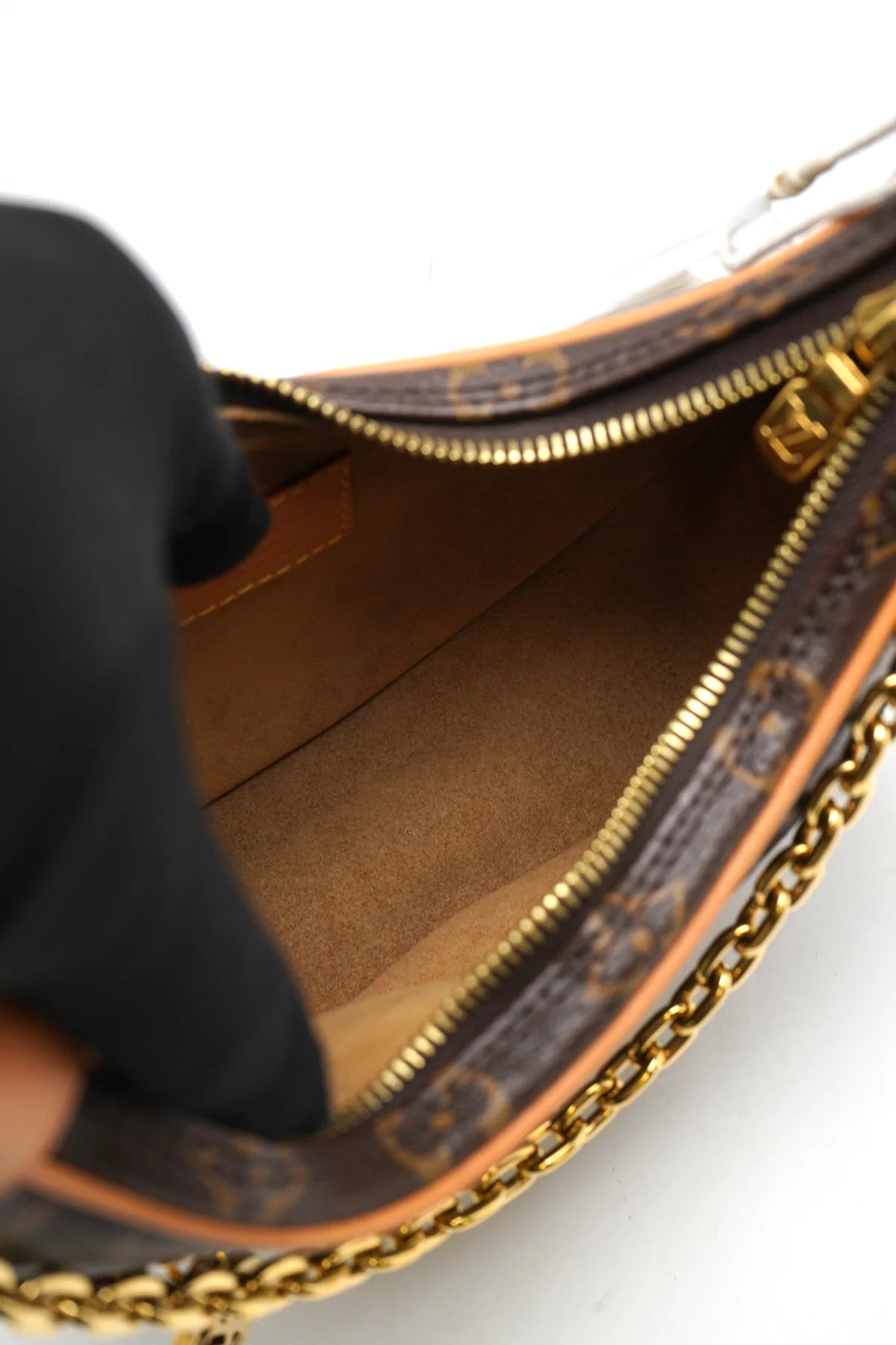 Louis Vuitton Monogram Loop Bag