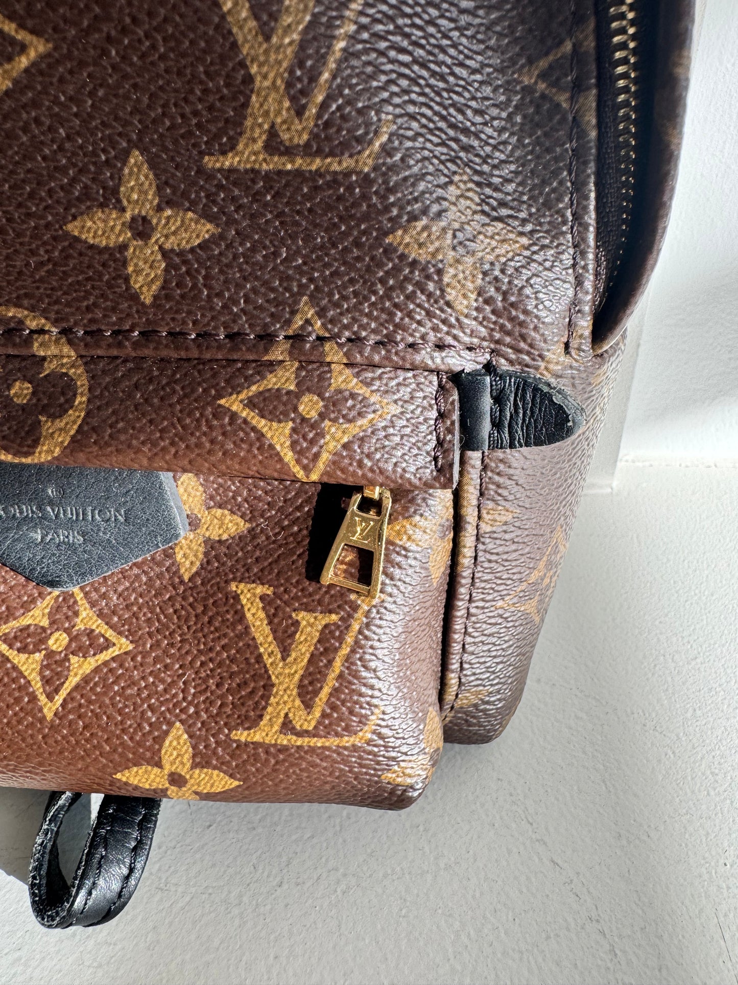 Louis Vuitton Palm Springs Mini Backpack