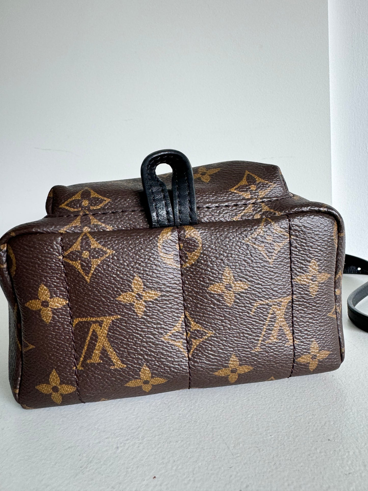 Louis vuitton mini palm springs backpack monogram