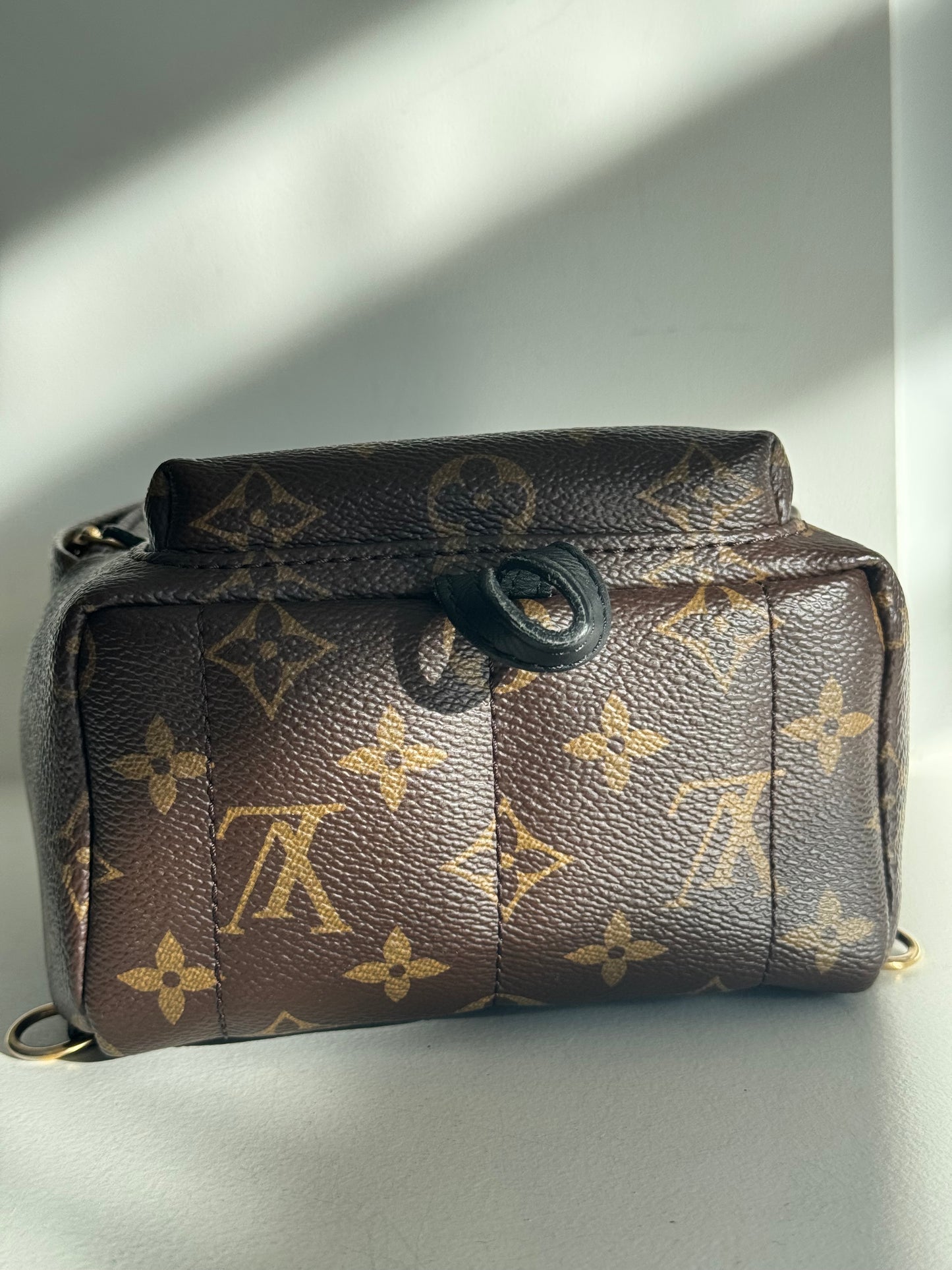 Louis Vuitton Palm Springs Mini Backpack