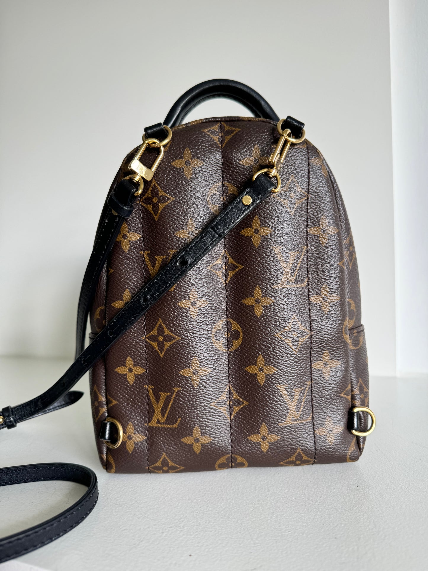Louis vuitton mini palm springs backpack monogram