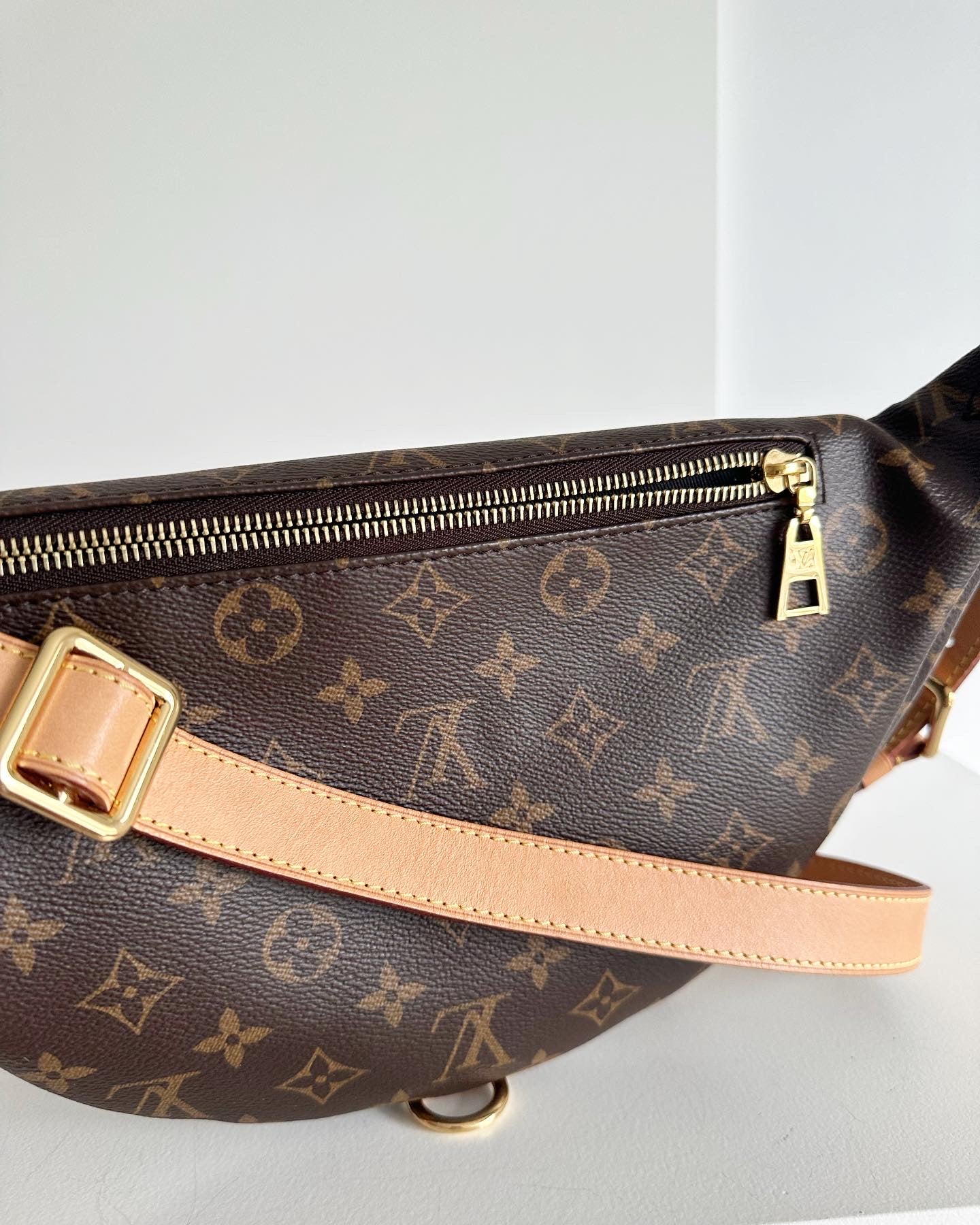 Louis Vuitton Bumbag