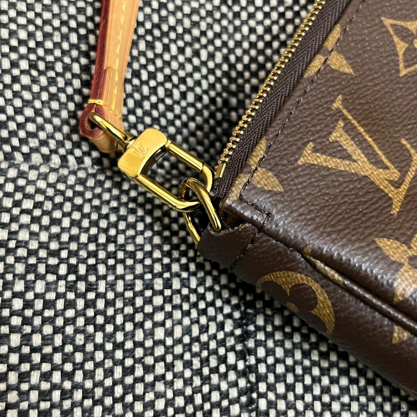 Louis Vuitton Pochette Accessories Bag