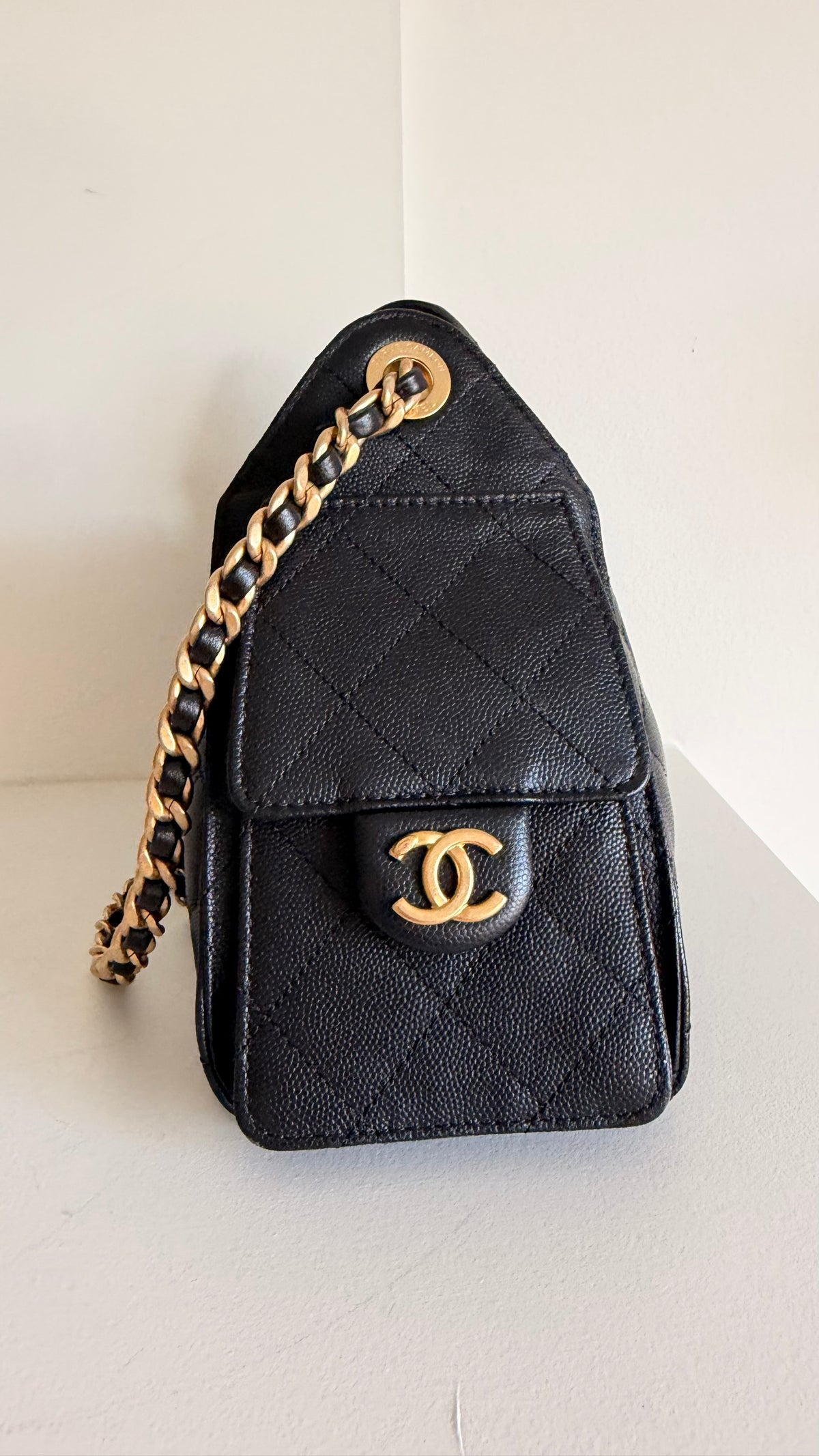 Chanel 25 Mini Hobo Bag