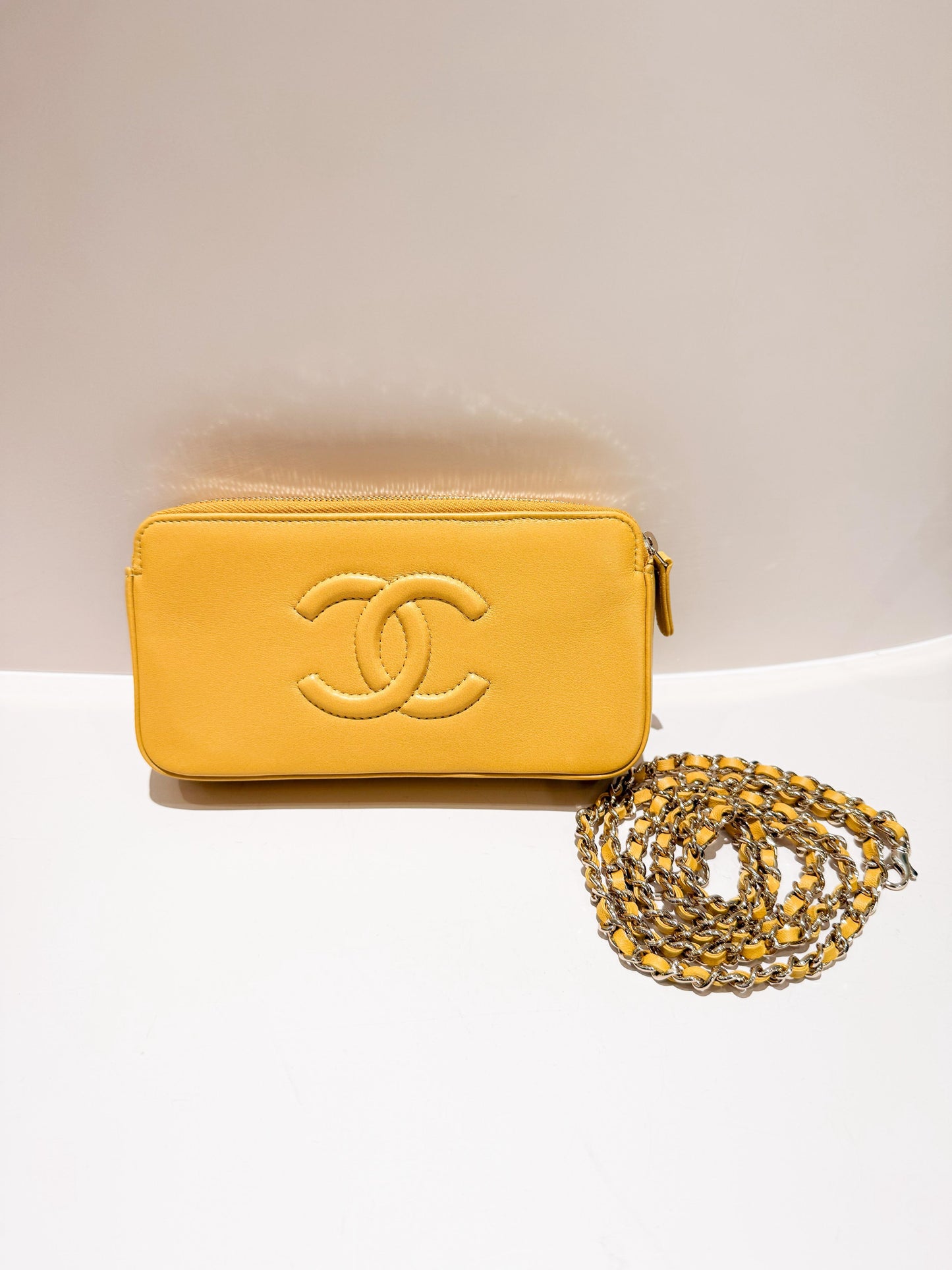 Chanel Clutch On Chain Bag