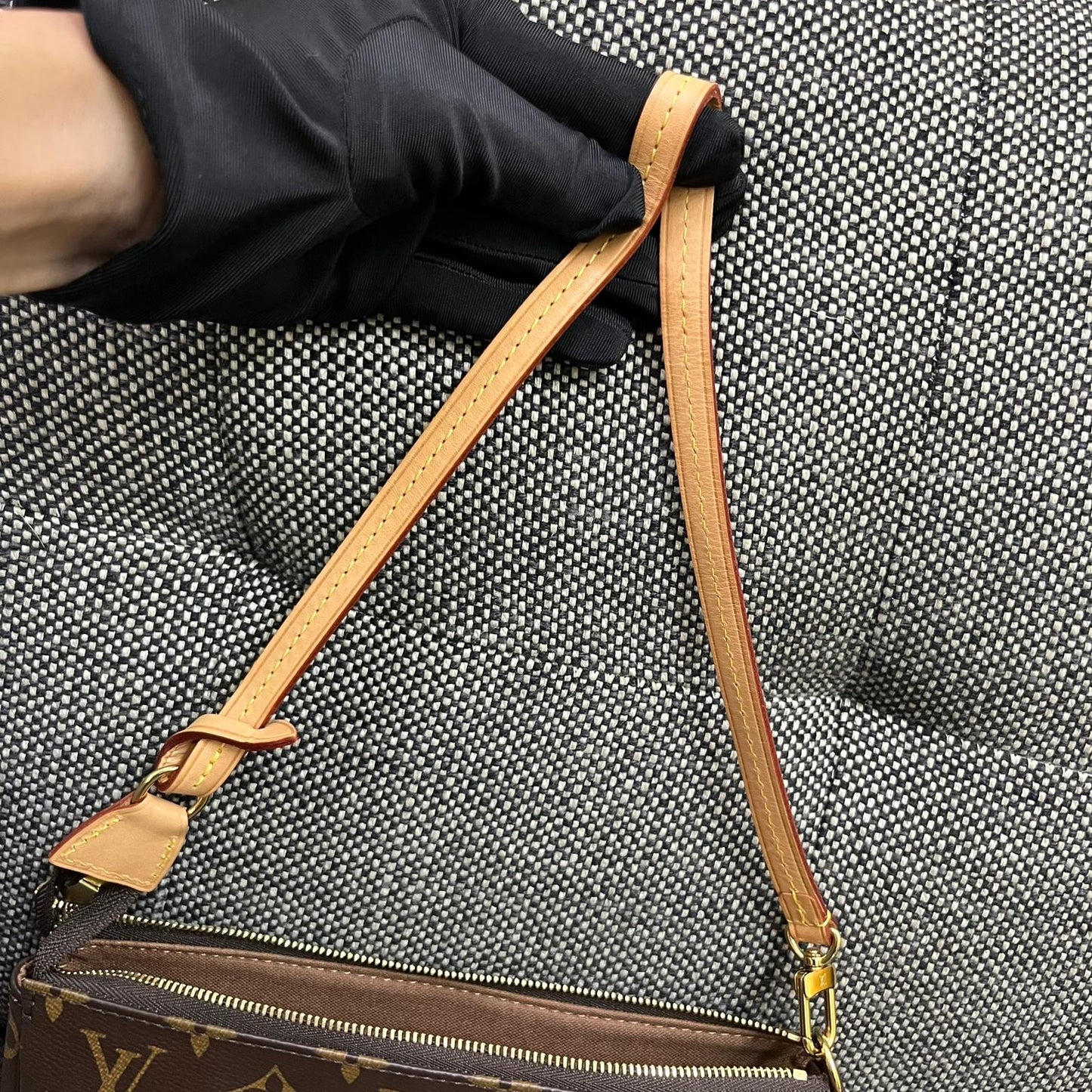 Louis Vuitton Pochette Accessories Bag