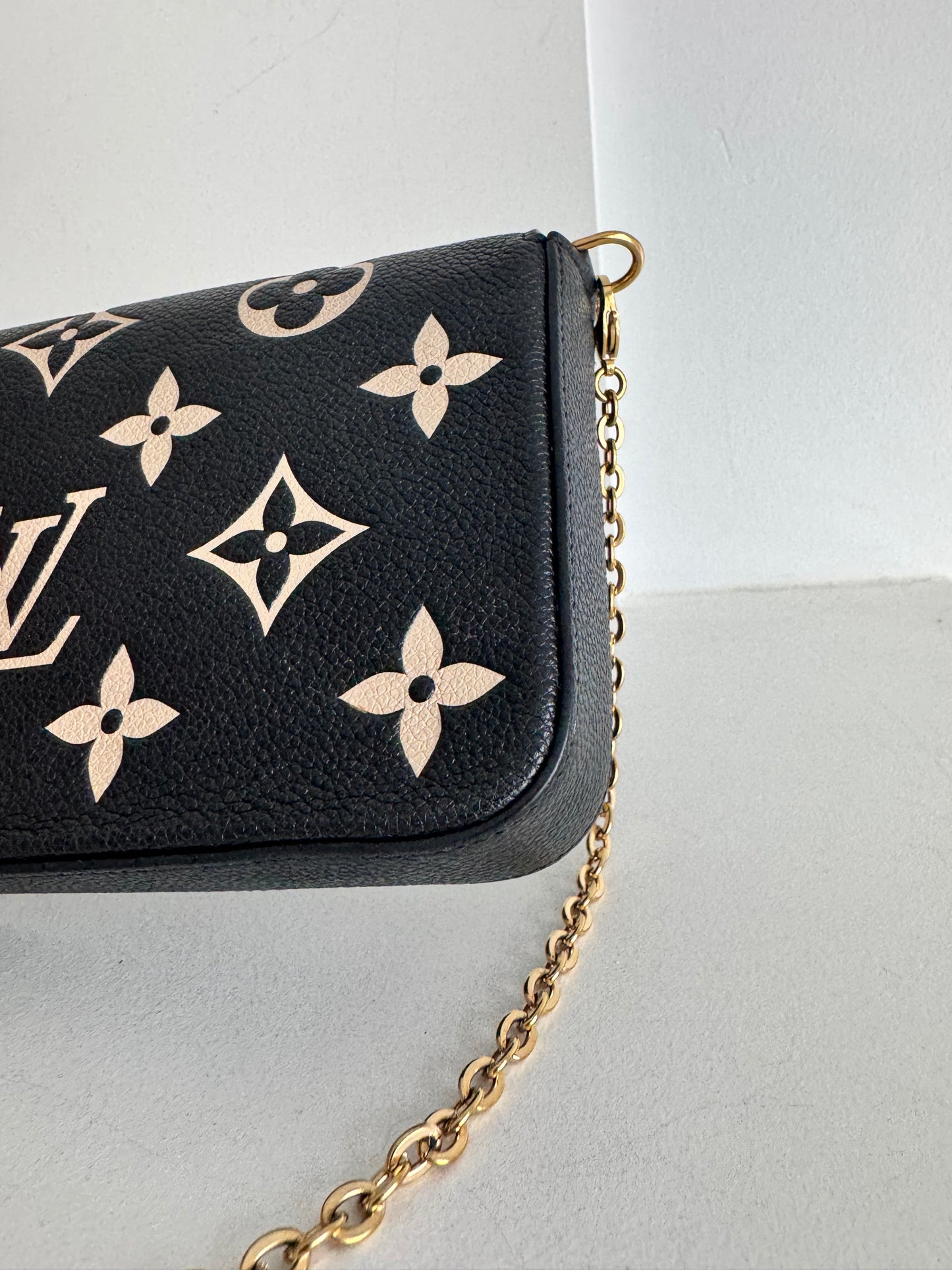 Louis Vuitton Bi-Color Félicie Pochette