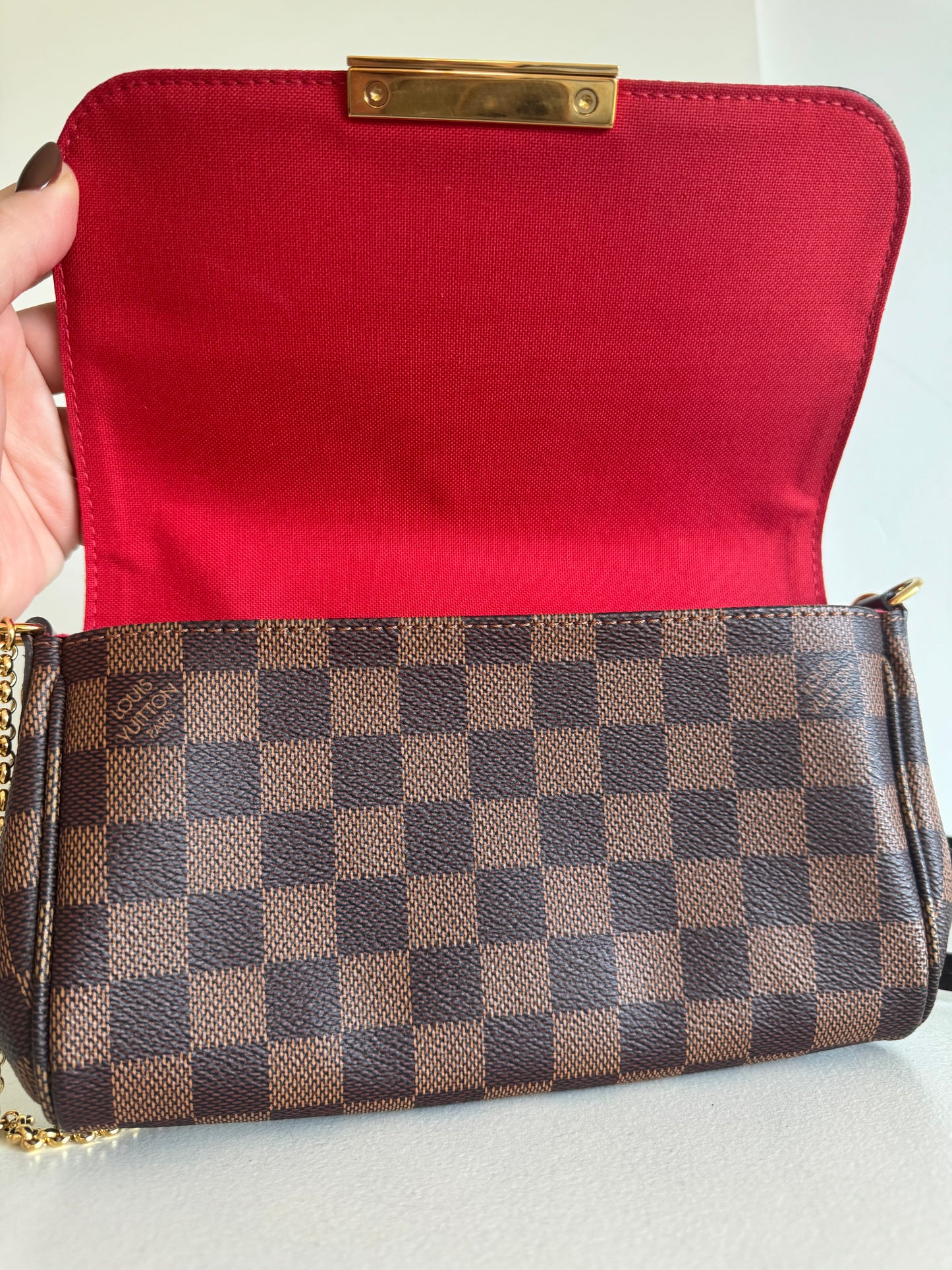 Louis Vuitton Favourite PM Damier Ebene Bag