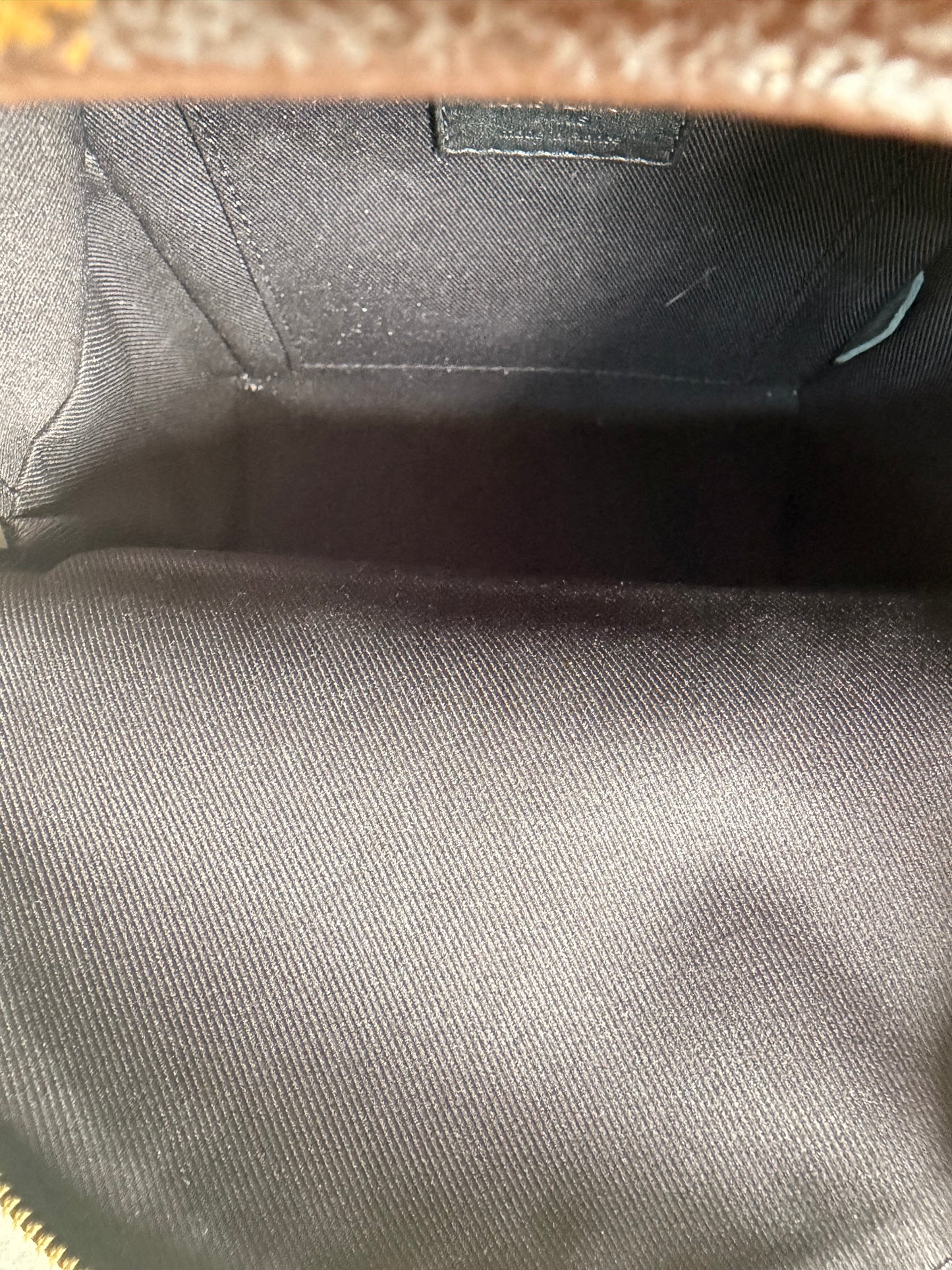 Louis Vuitton Palm Springs Mini Backpack