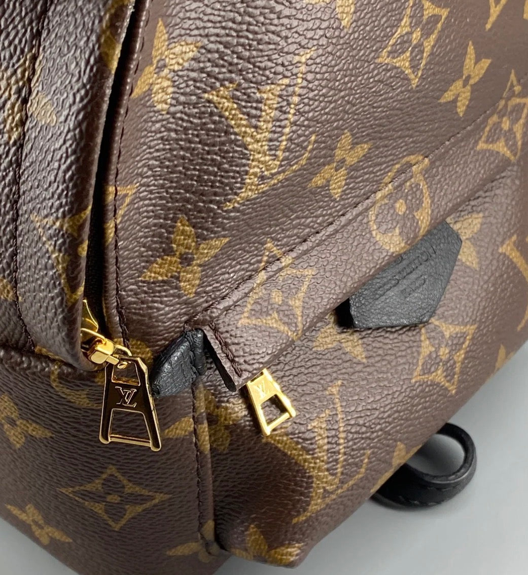 Louis Vuitton Palm Springs Backpack