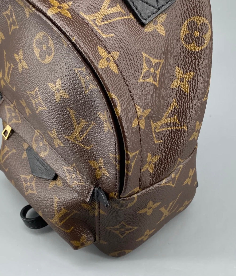 Louis Vuitton Palm Springs Backpack