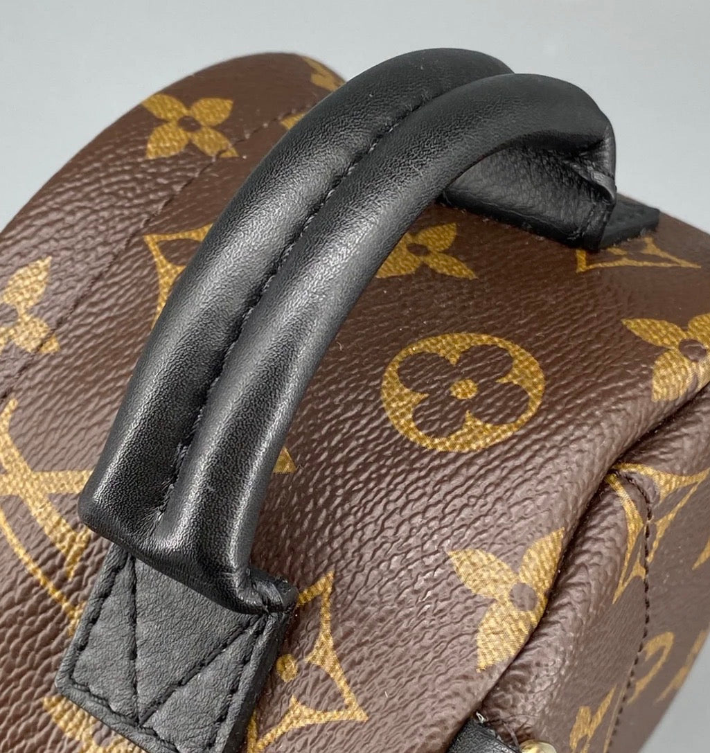 Louis Vuitton Palm Springs Backpack