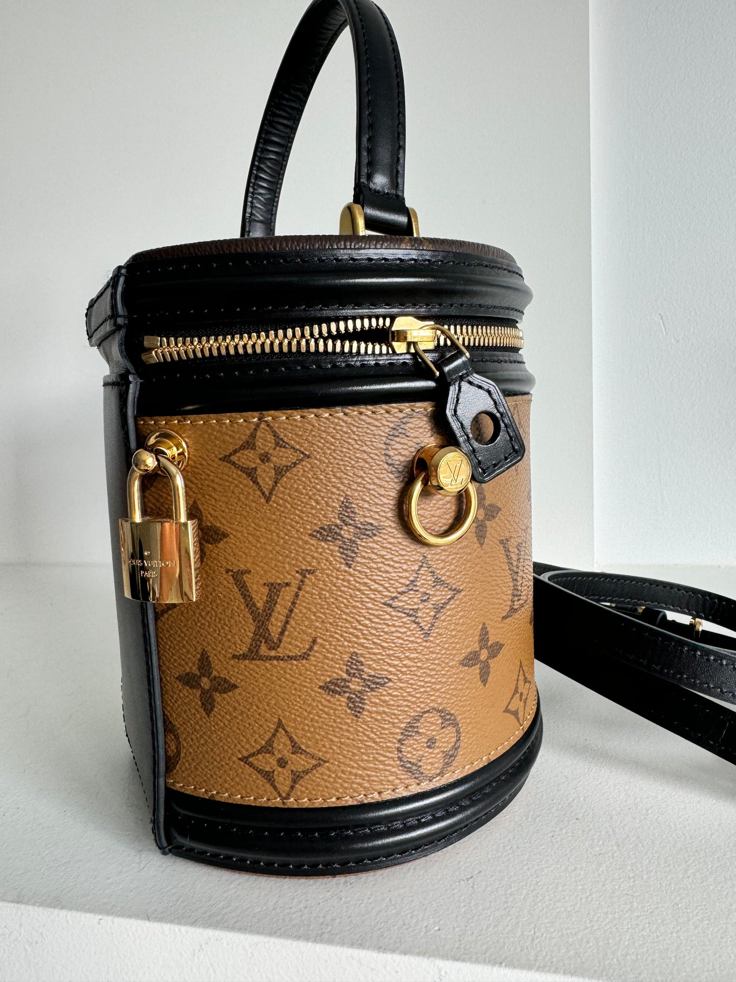 Louis Vuitton Cannes Monogram Reverse Vanity Bag