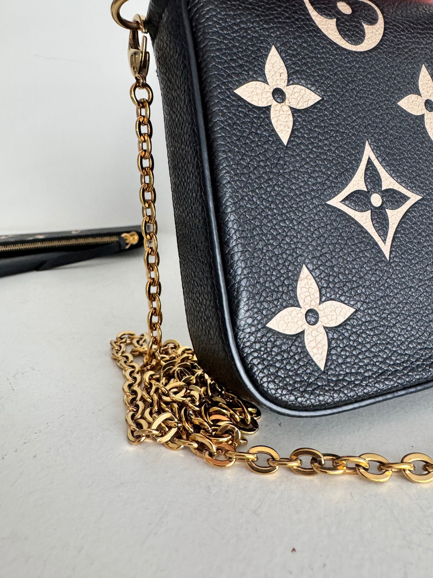 Louis Vuitton Bi-Color Félicie Pochette