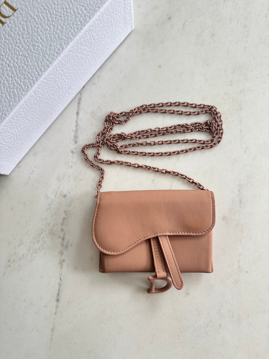 Christian Dior Nano Saddle Chain Pouch